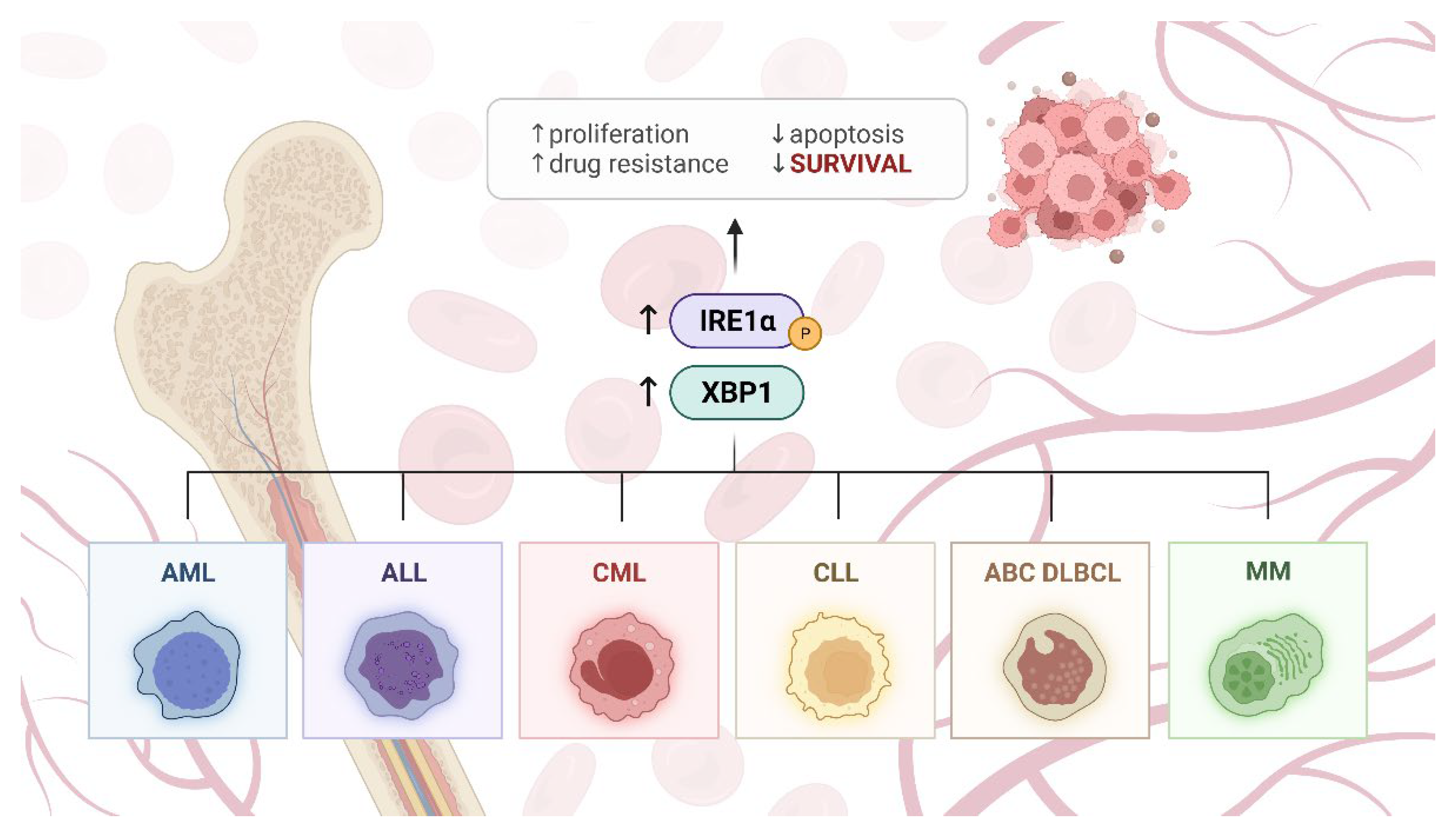 Cancers 14 02526 g002