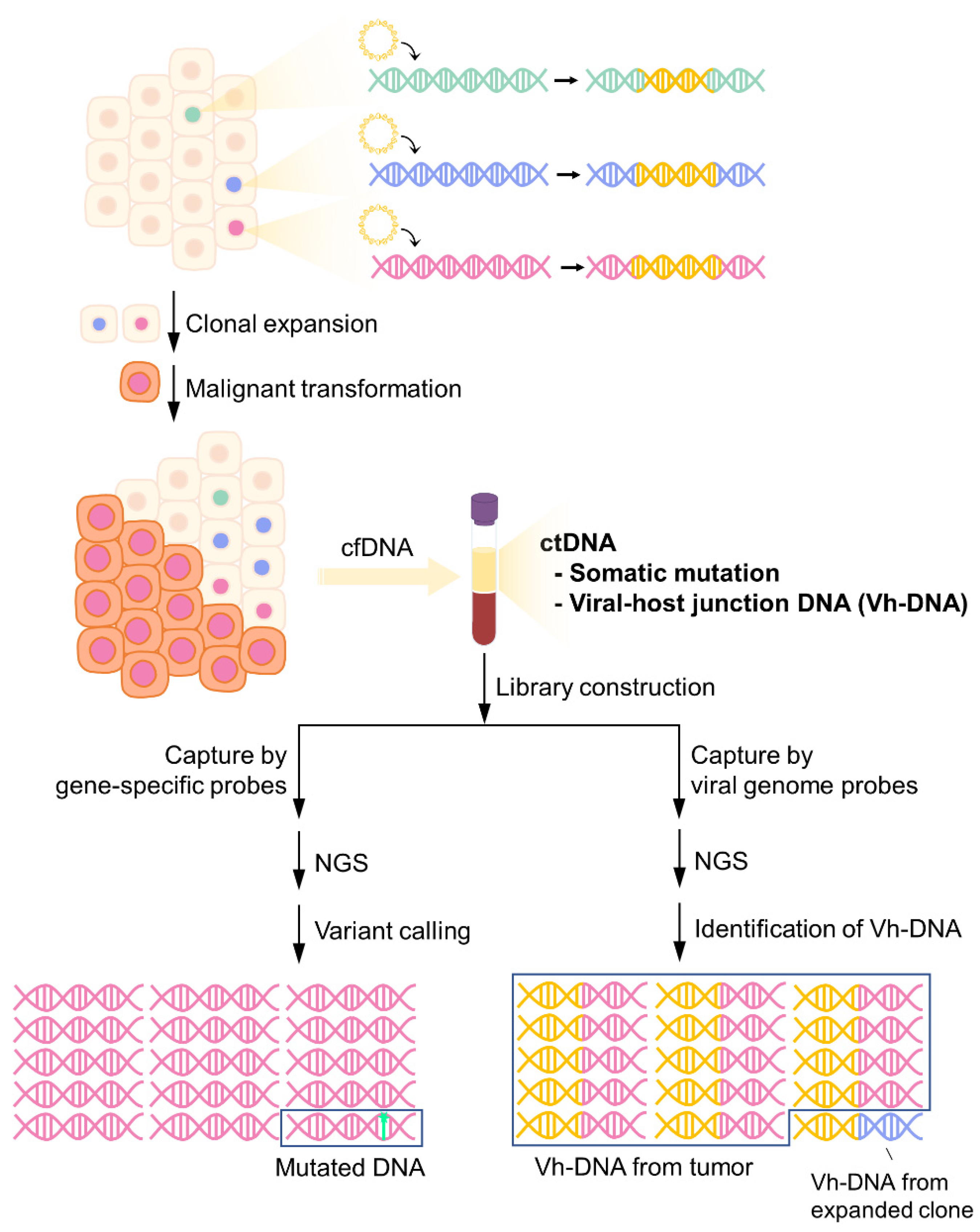 Cancers 14 02531 g001 550