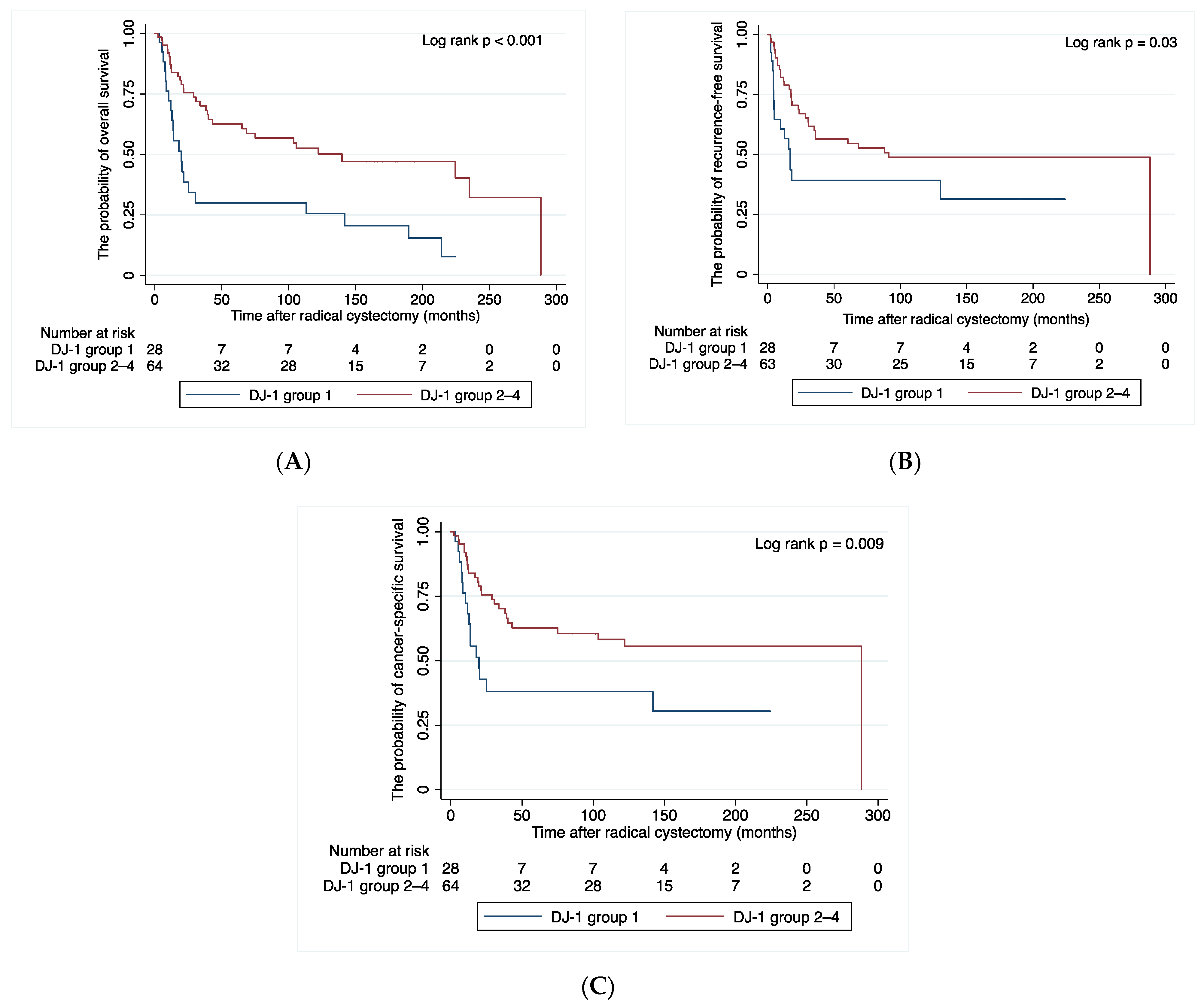 Cancers 14 02535 g005