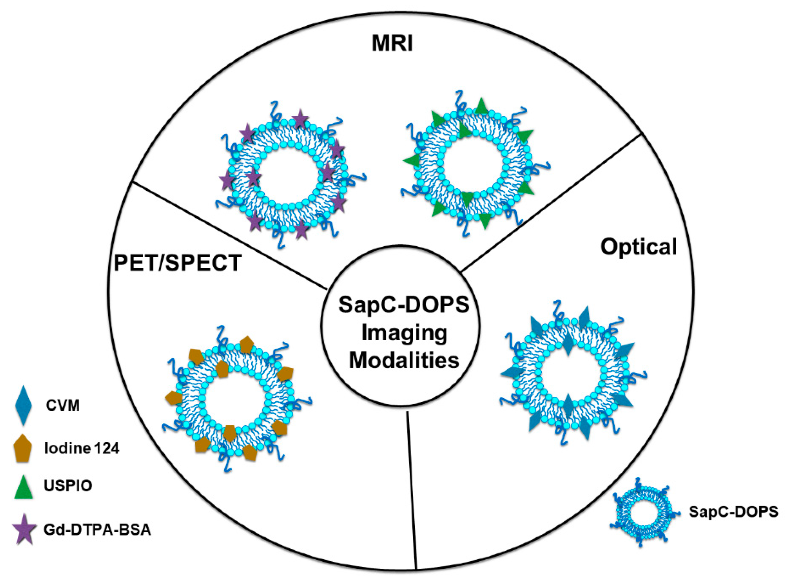 Cancers 14 02536 g002