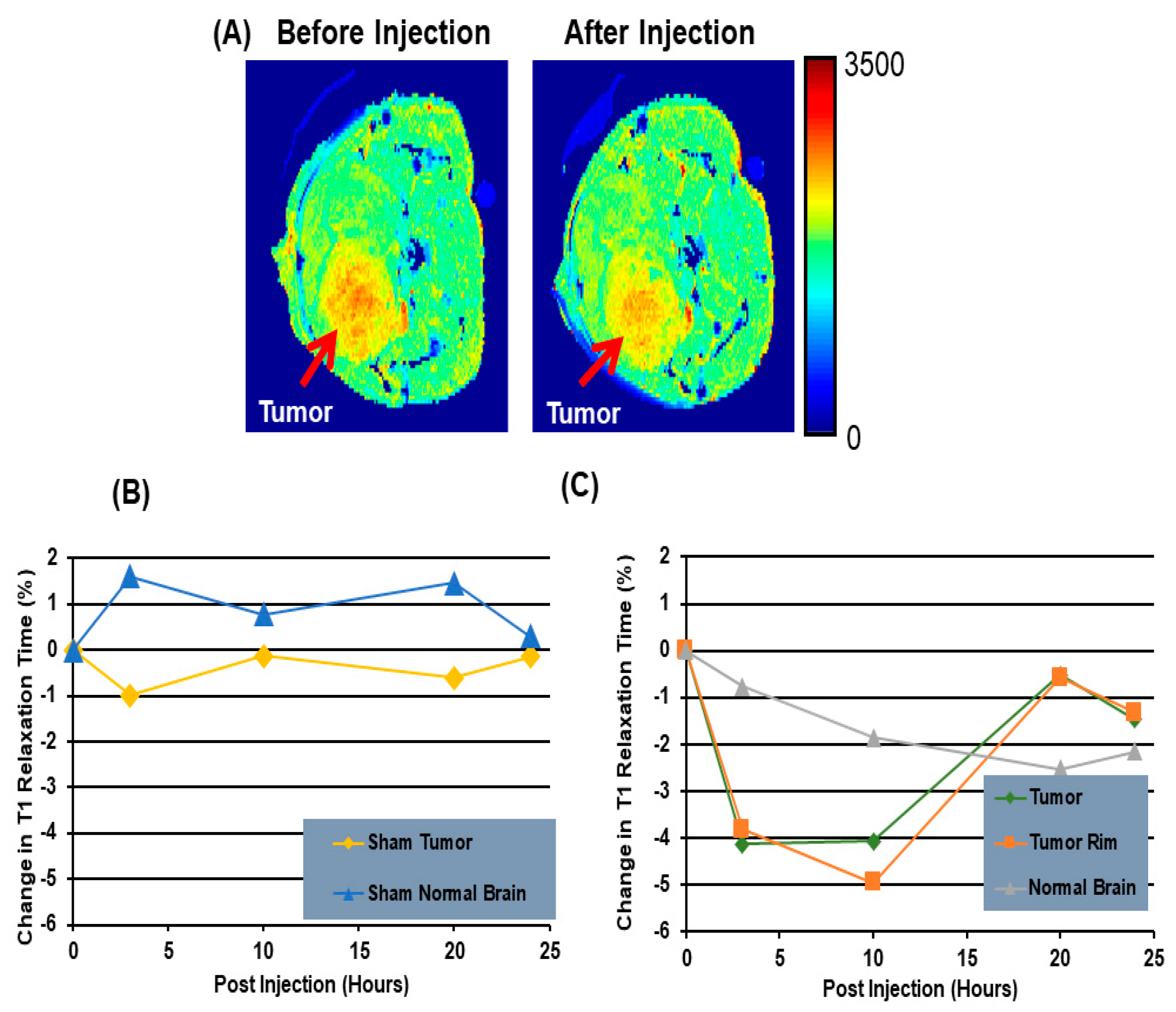 Cancers 14 02536 g003