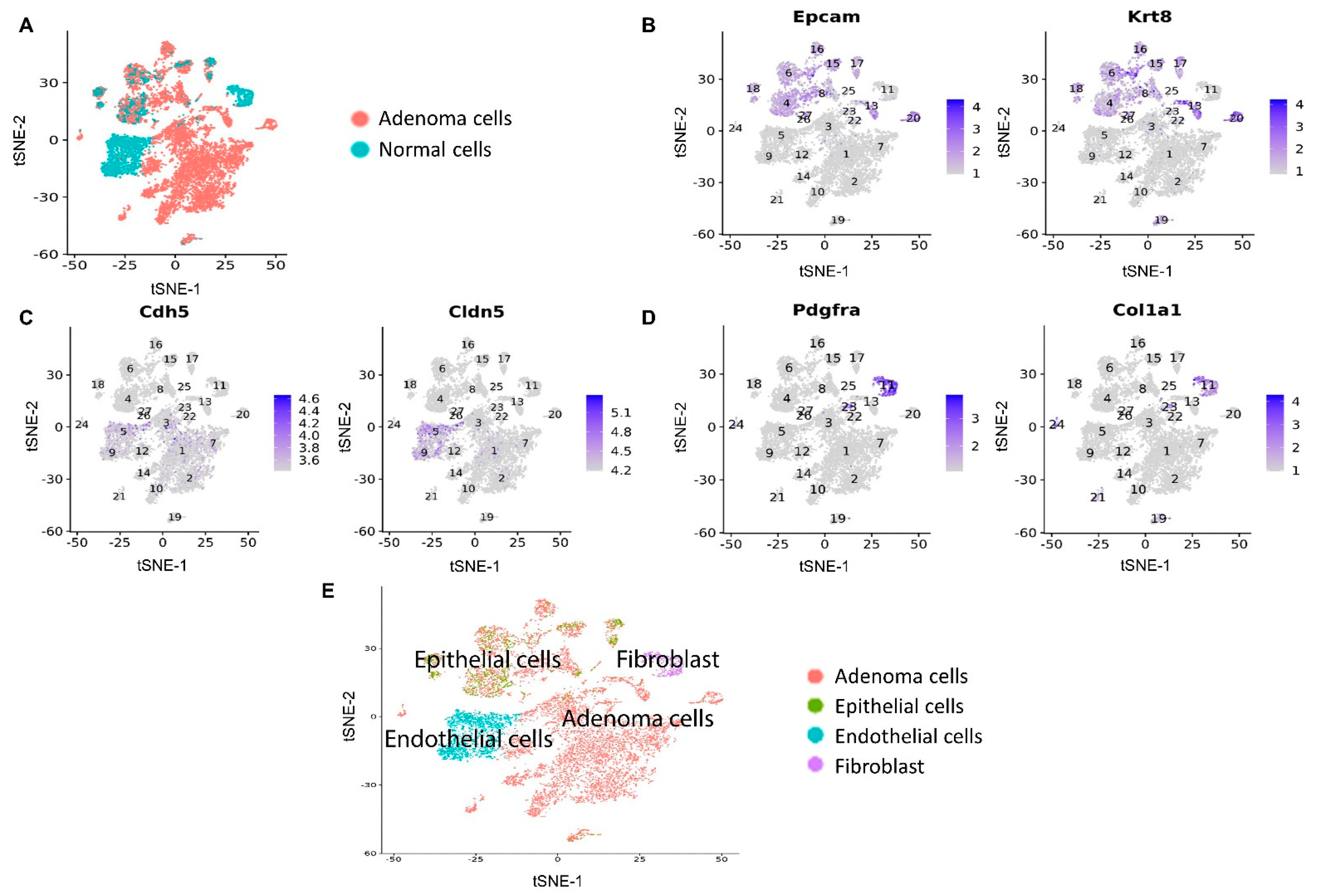 Cancers 14 02538 g002 550