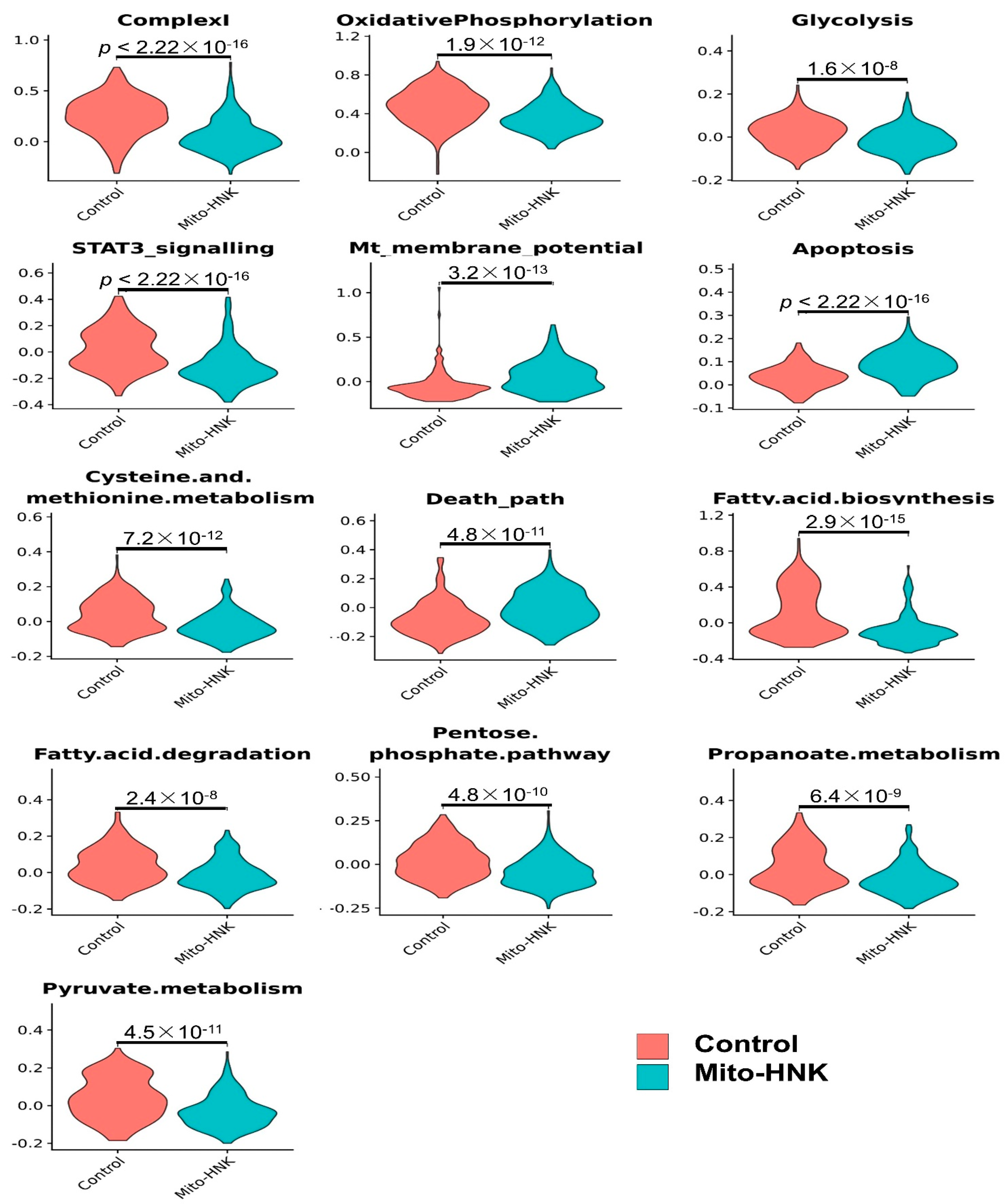Cancers 14 02538 g004 550