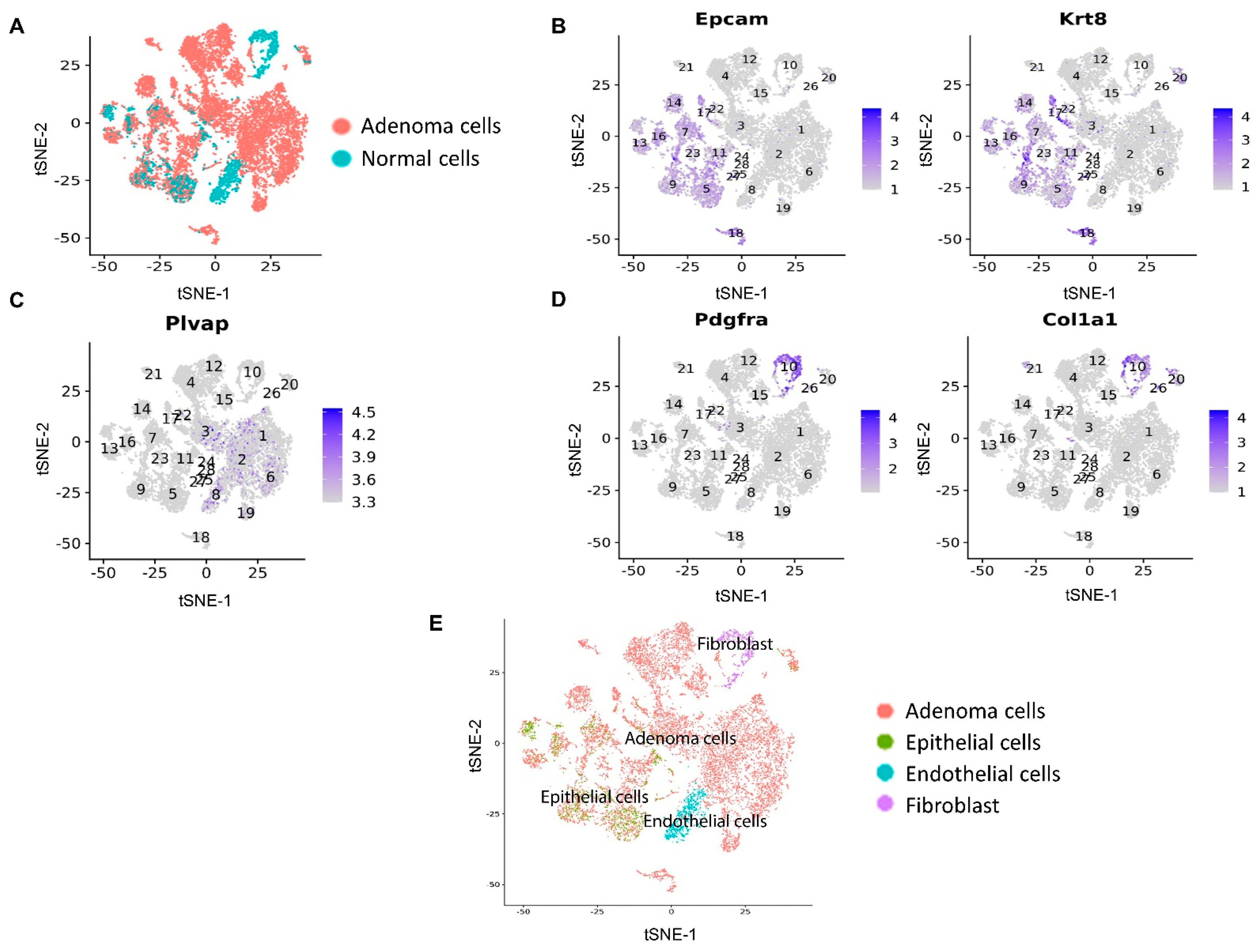 Cancers 14 02538 g005 550
