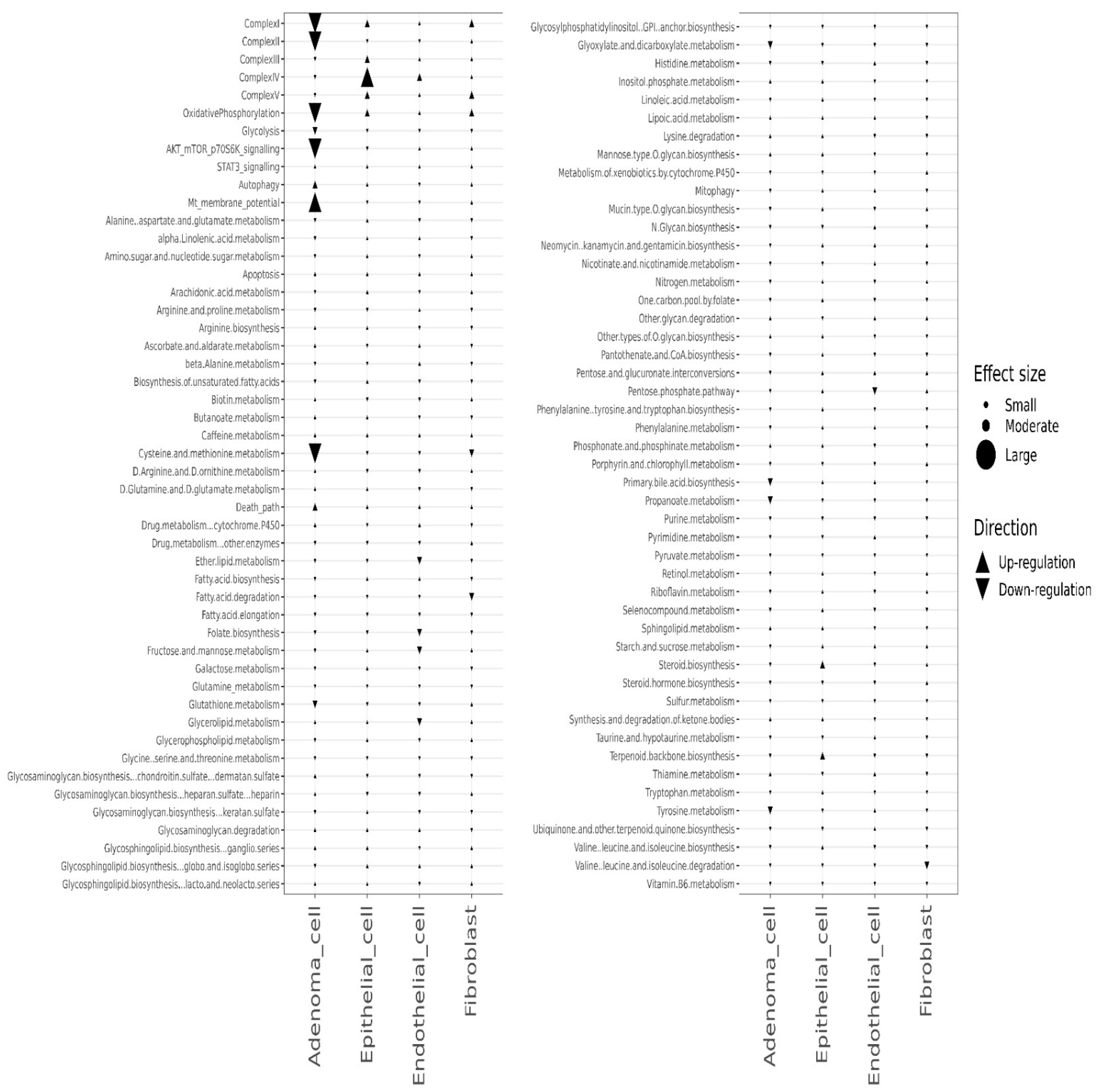 Cancers 14 02538 g006 550