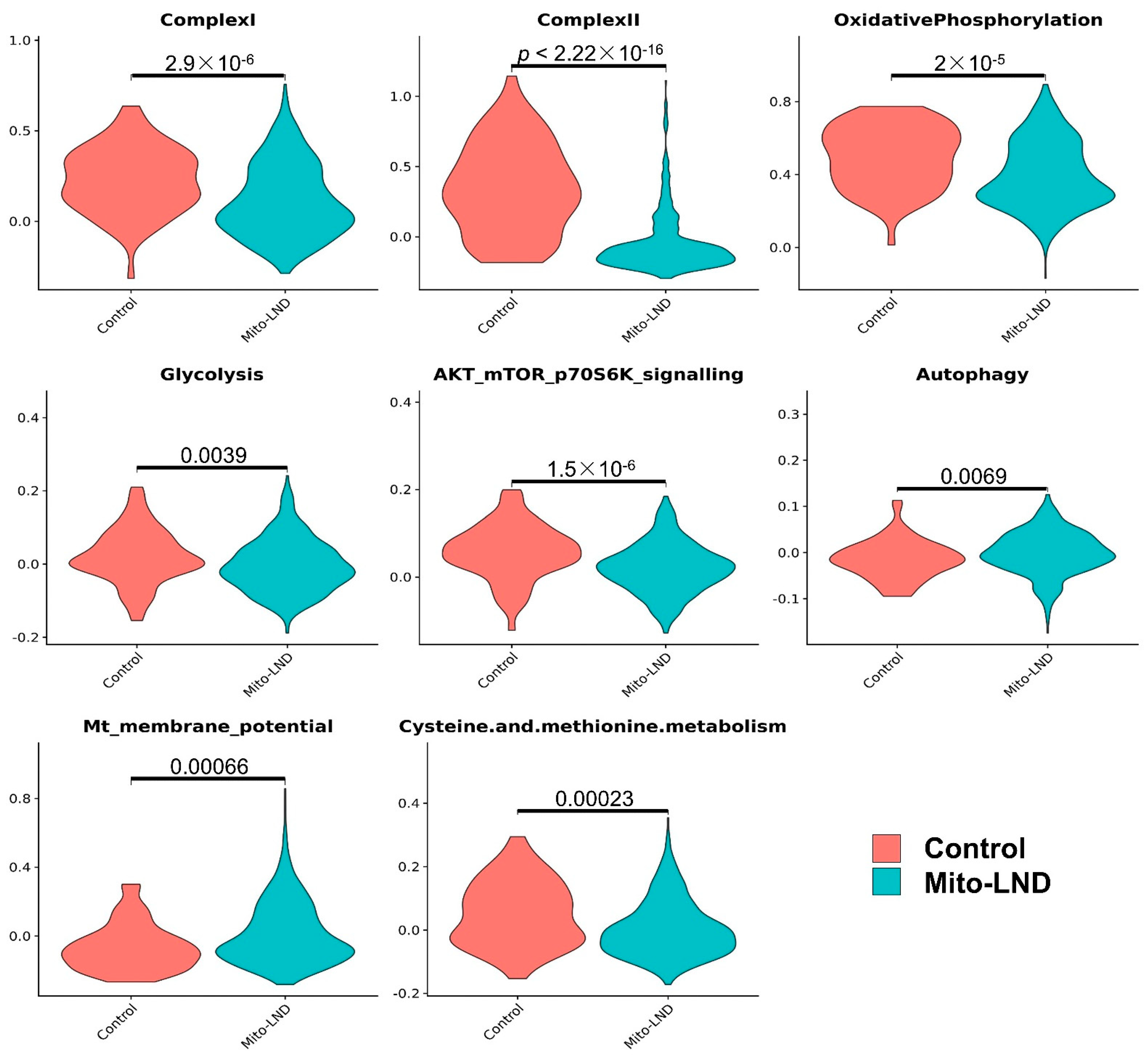 Cancers 14 02538 g007 550