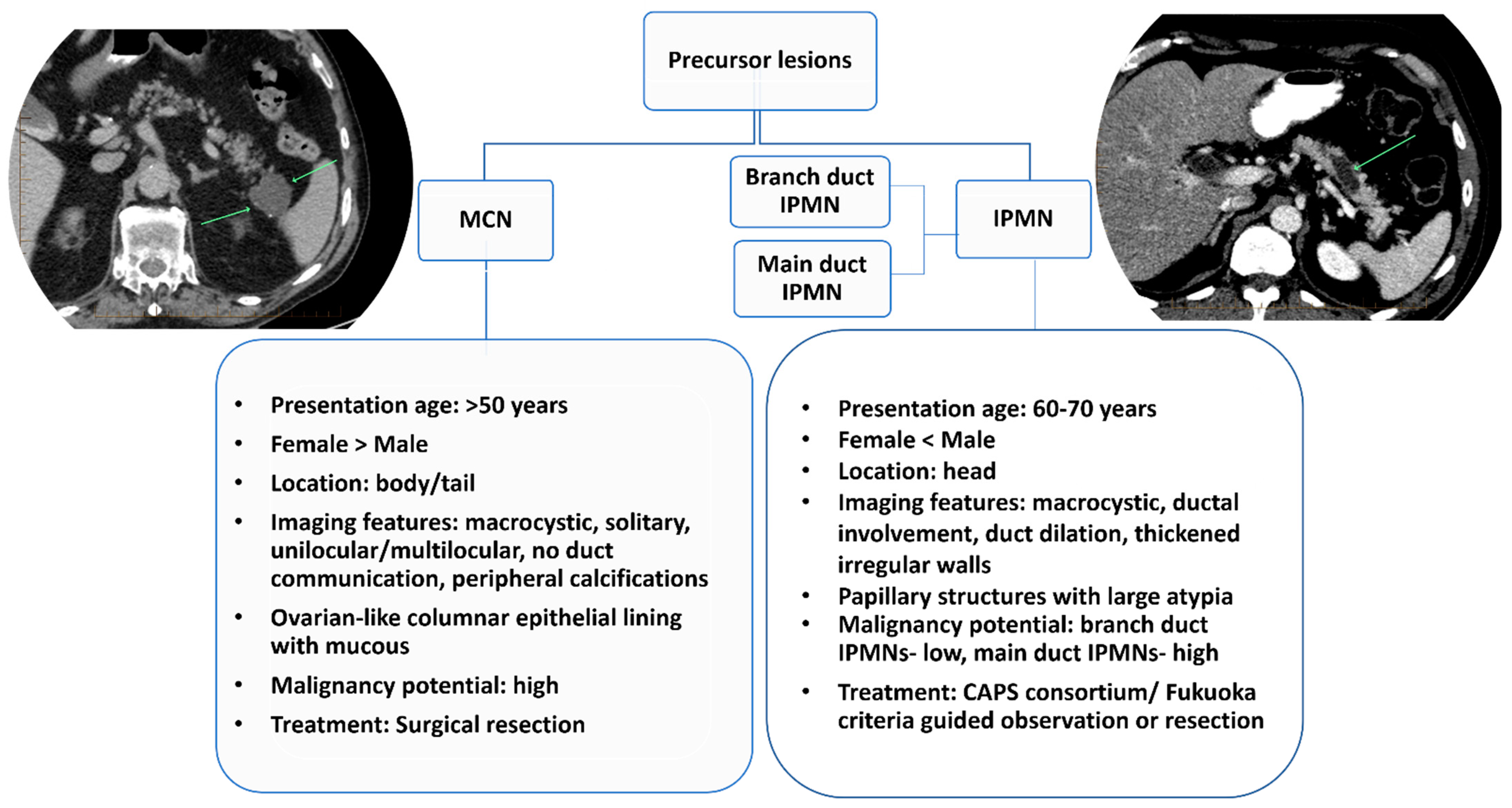Cancers 14 02539 g002 550