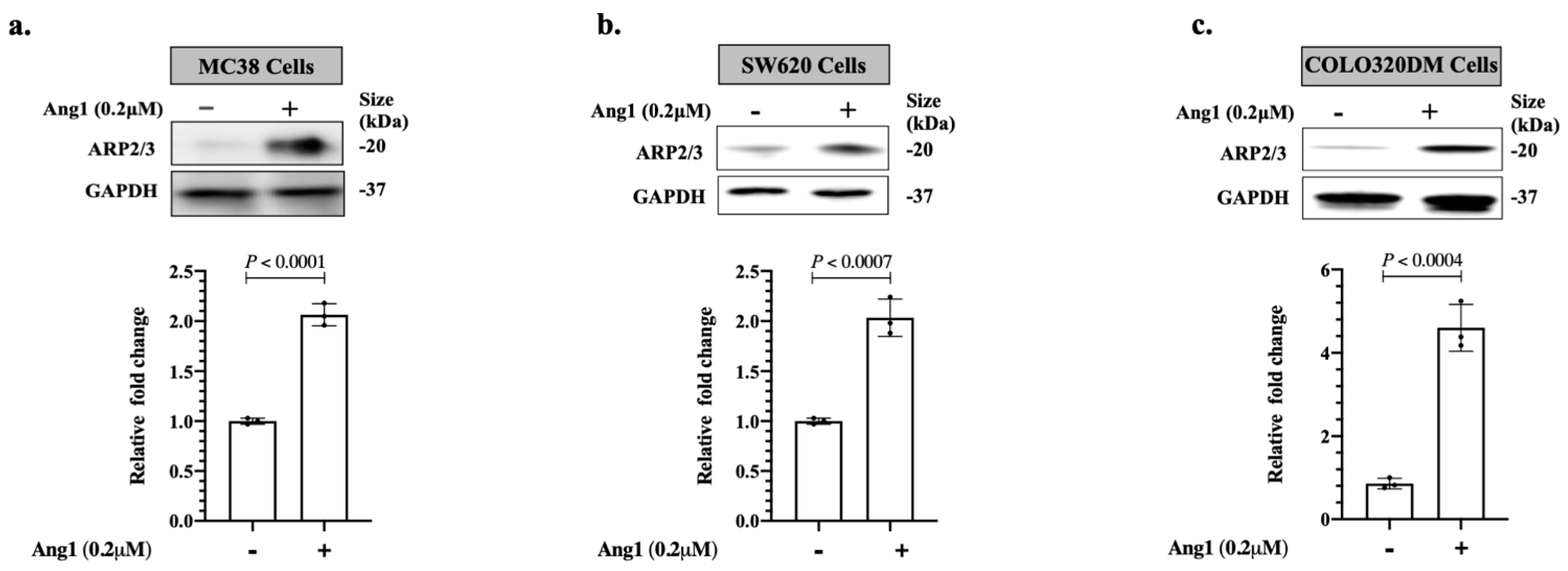 Cancers 14 02540 g001