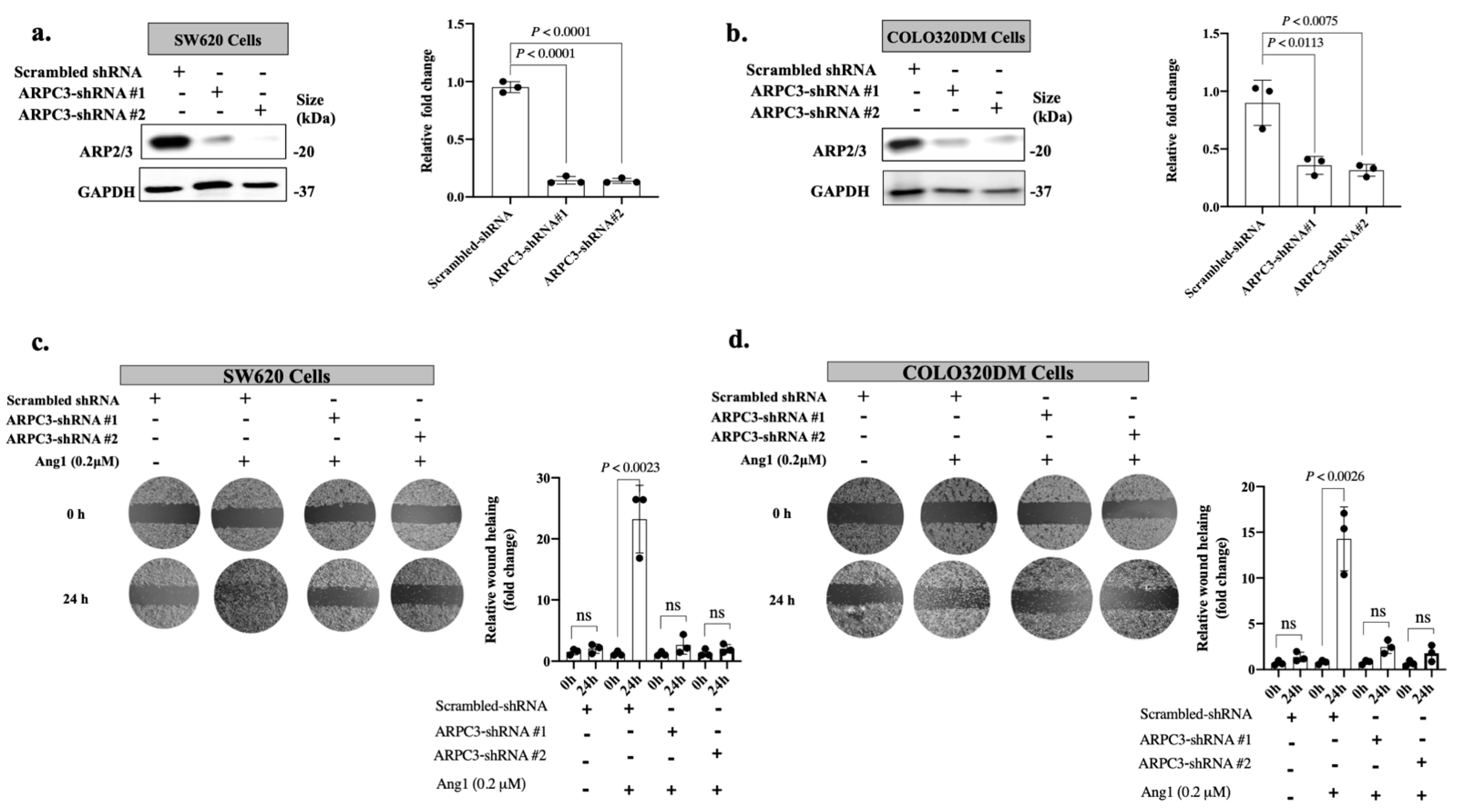 Cancers 14 02540 g003