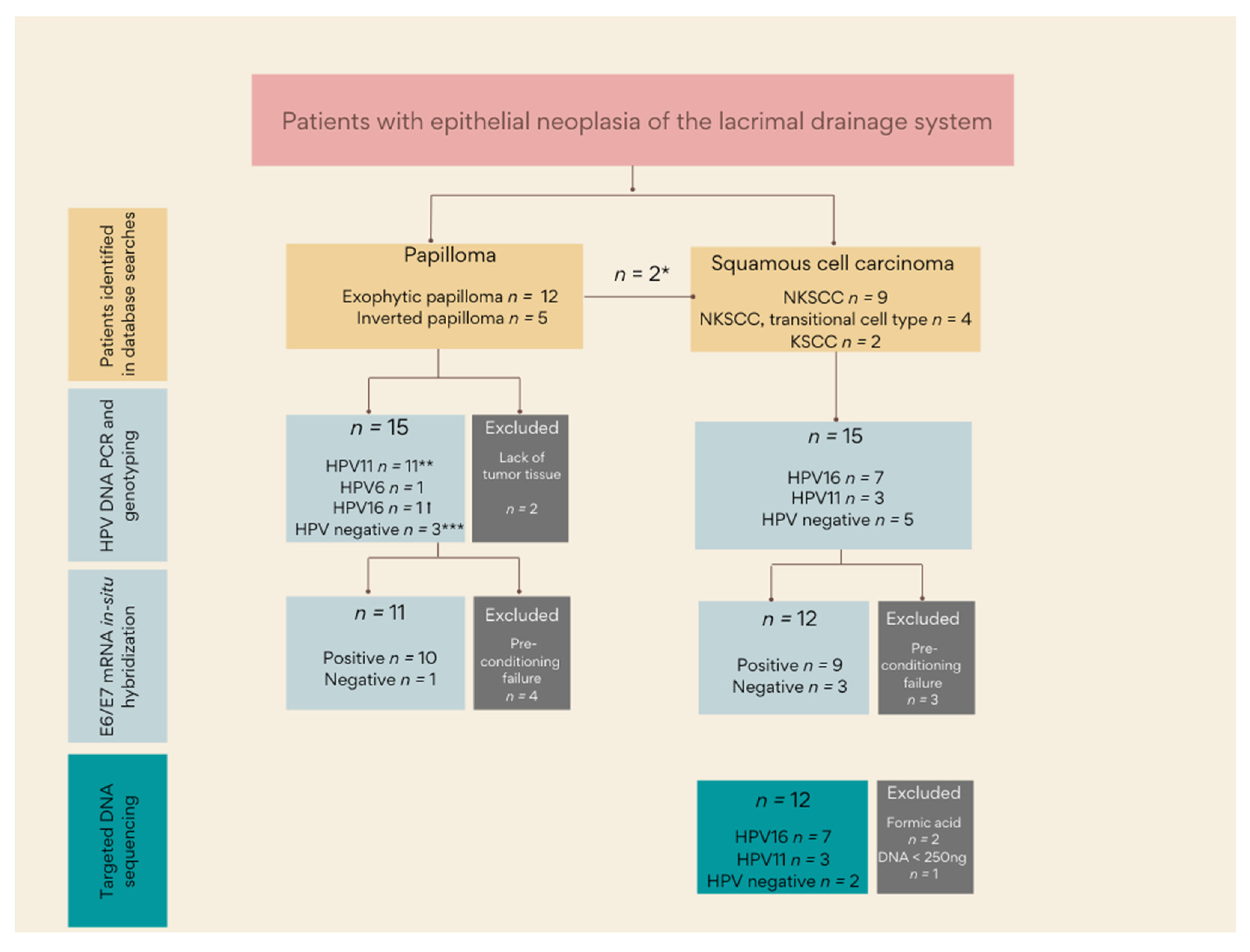 Cancers 14 02558 g001