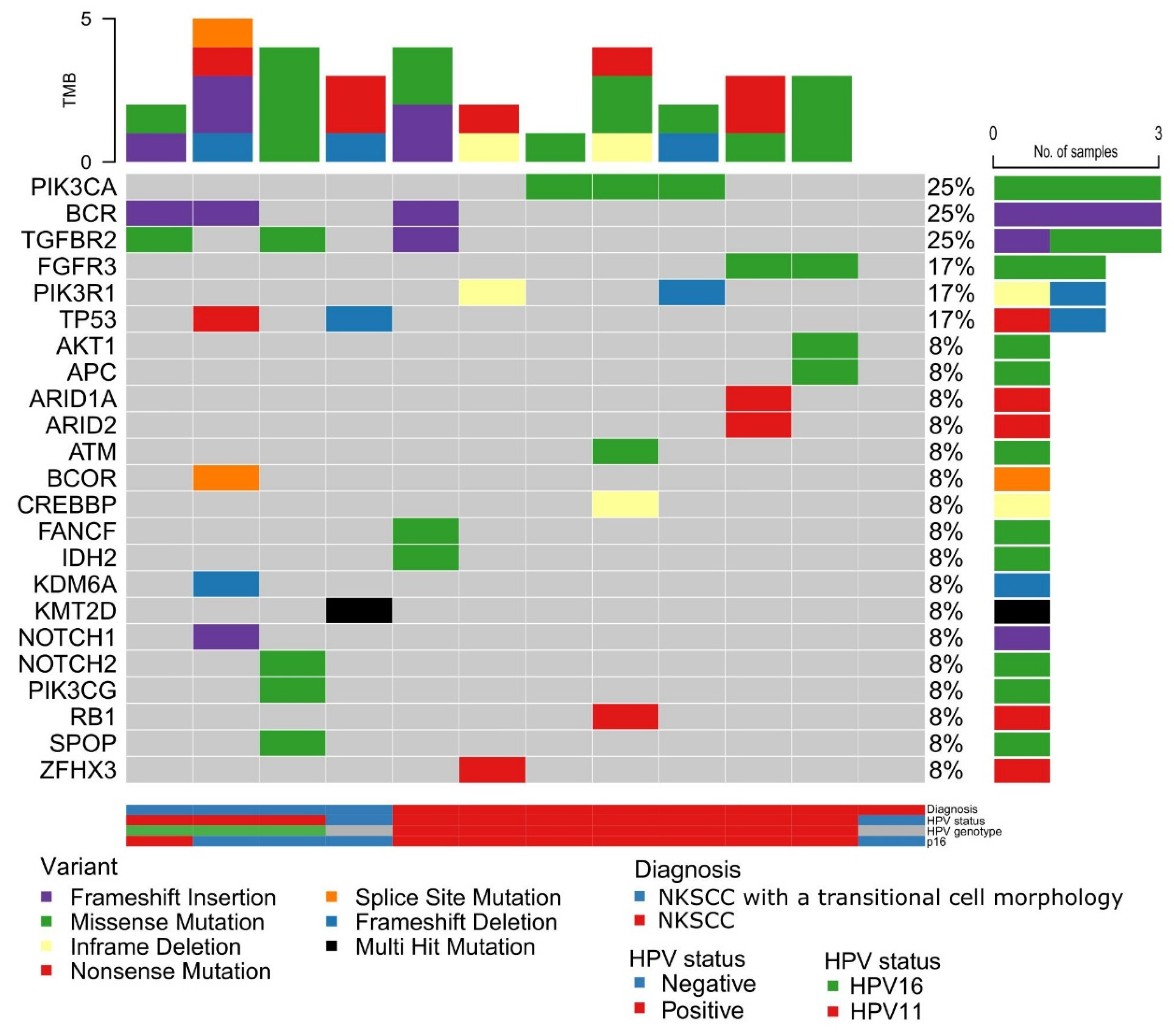 Cancers 14 02558 g004
