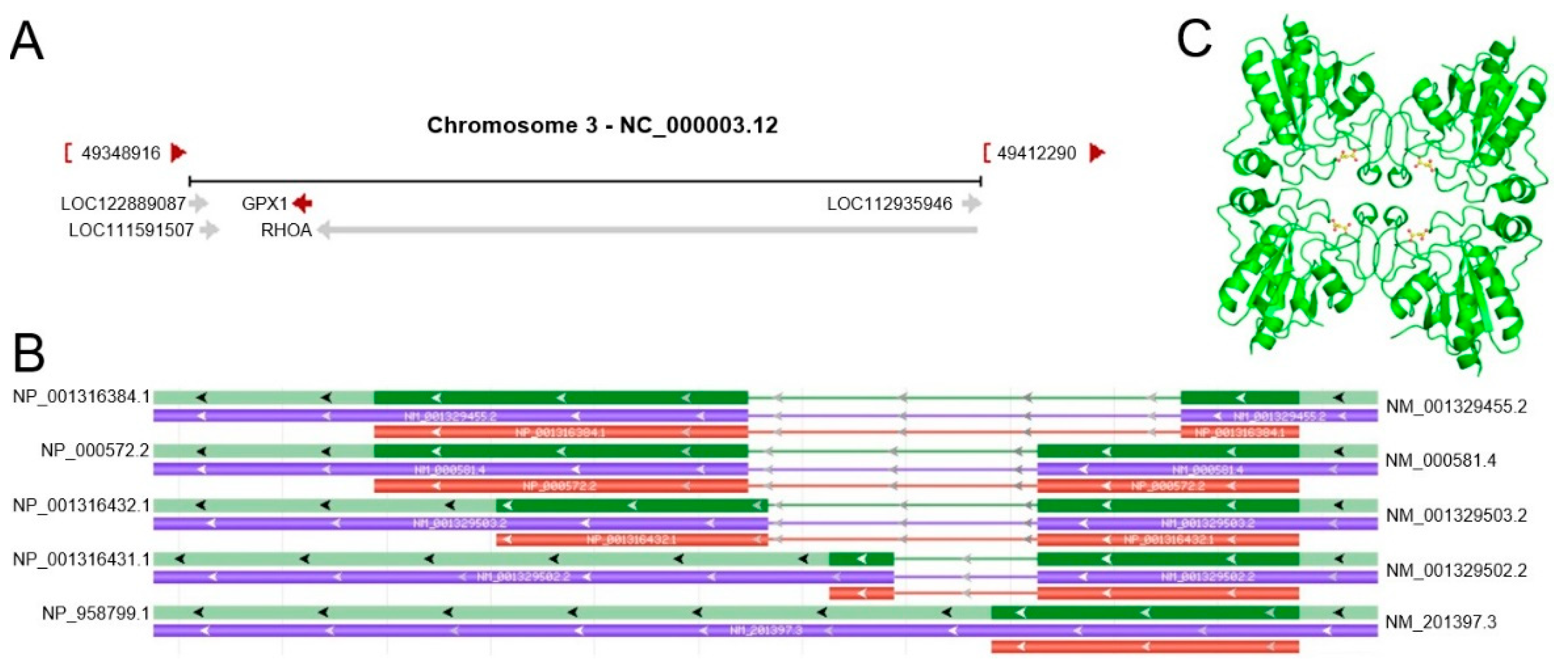 Cancers 14 02560 g001 Cancers 14 02560 g001