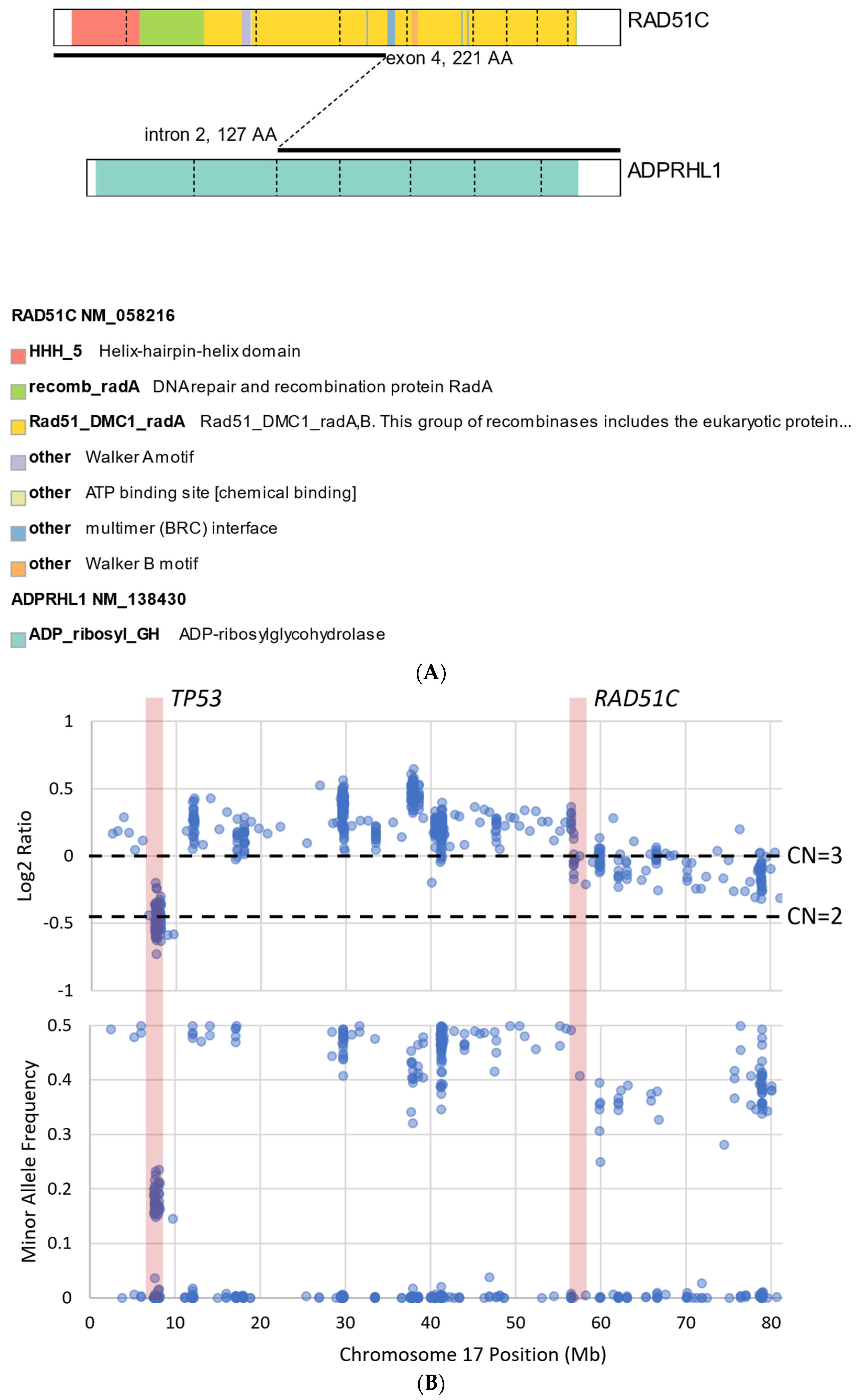 Cancers 14 02561 g003