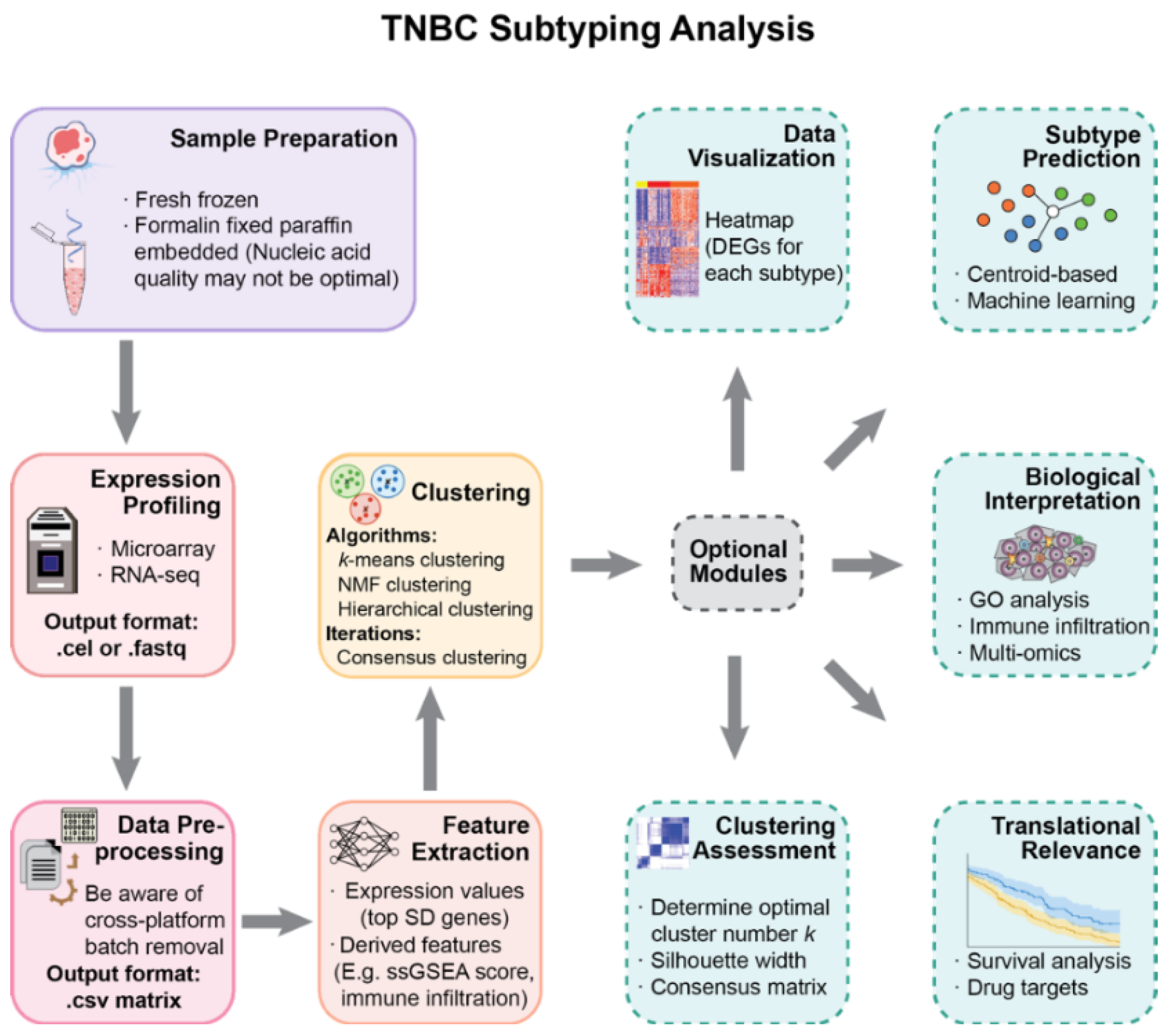 Cancers 14 02571 g001