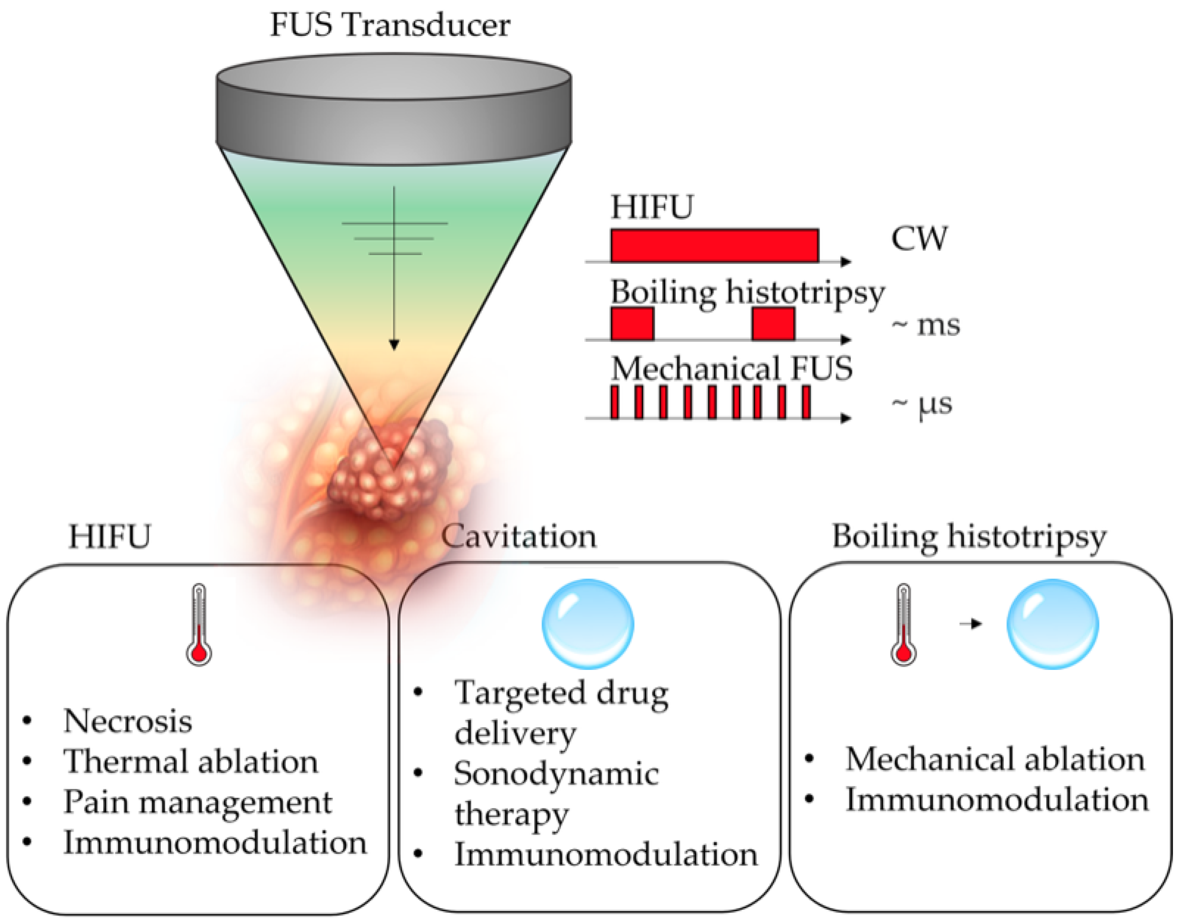 Cancers 14 02577 g001 Cancers 14 02577 g001