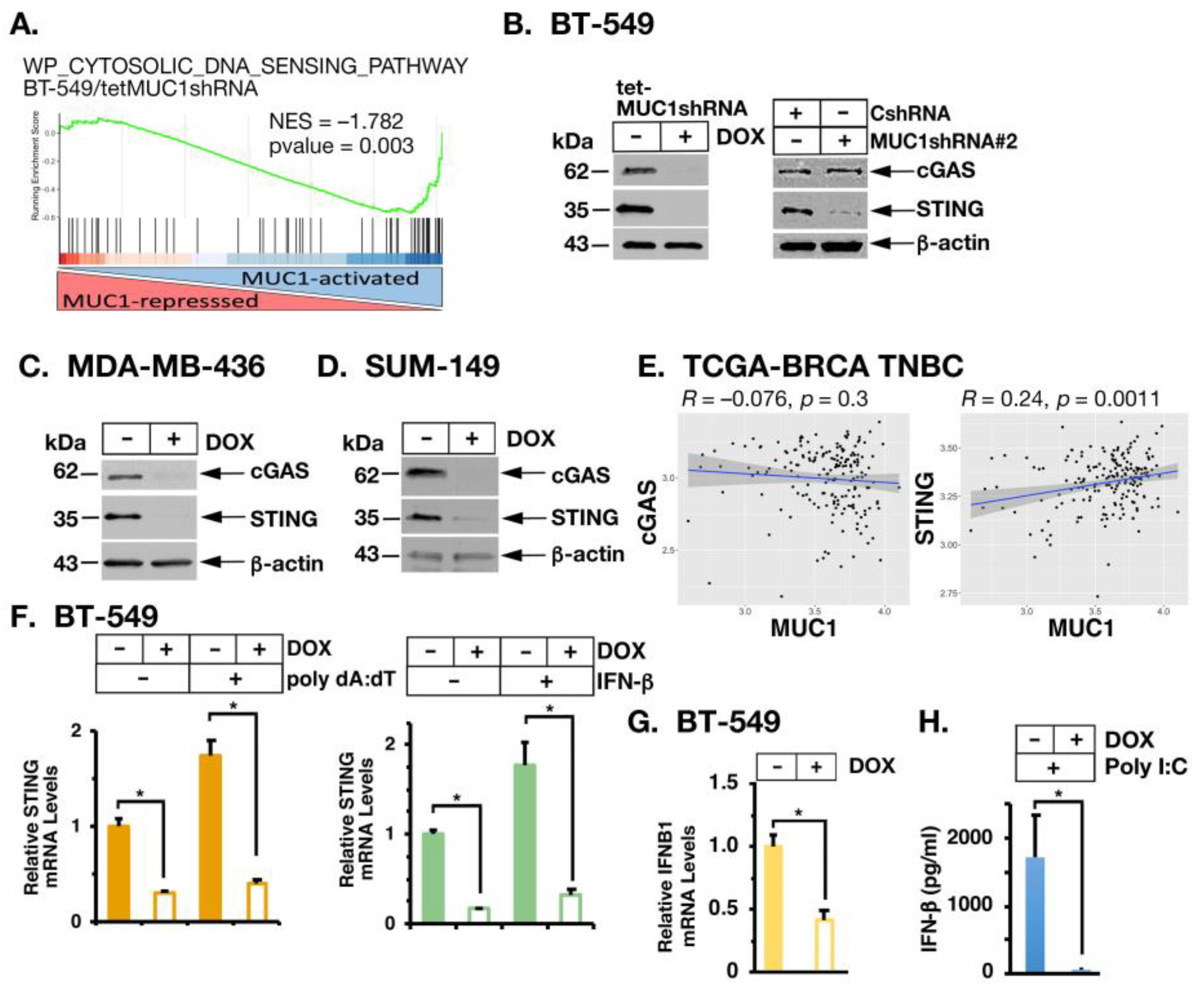 Cancers 14 02580 g003