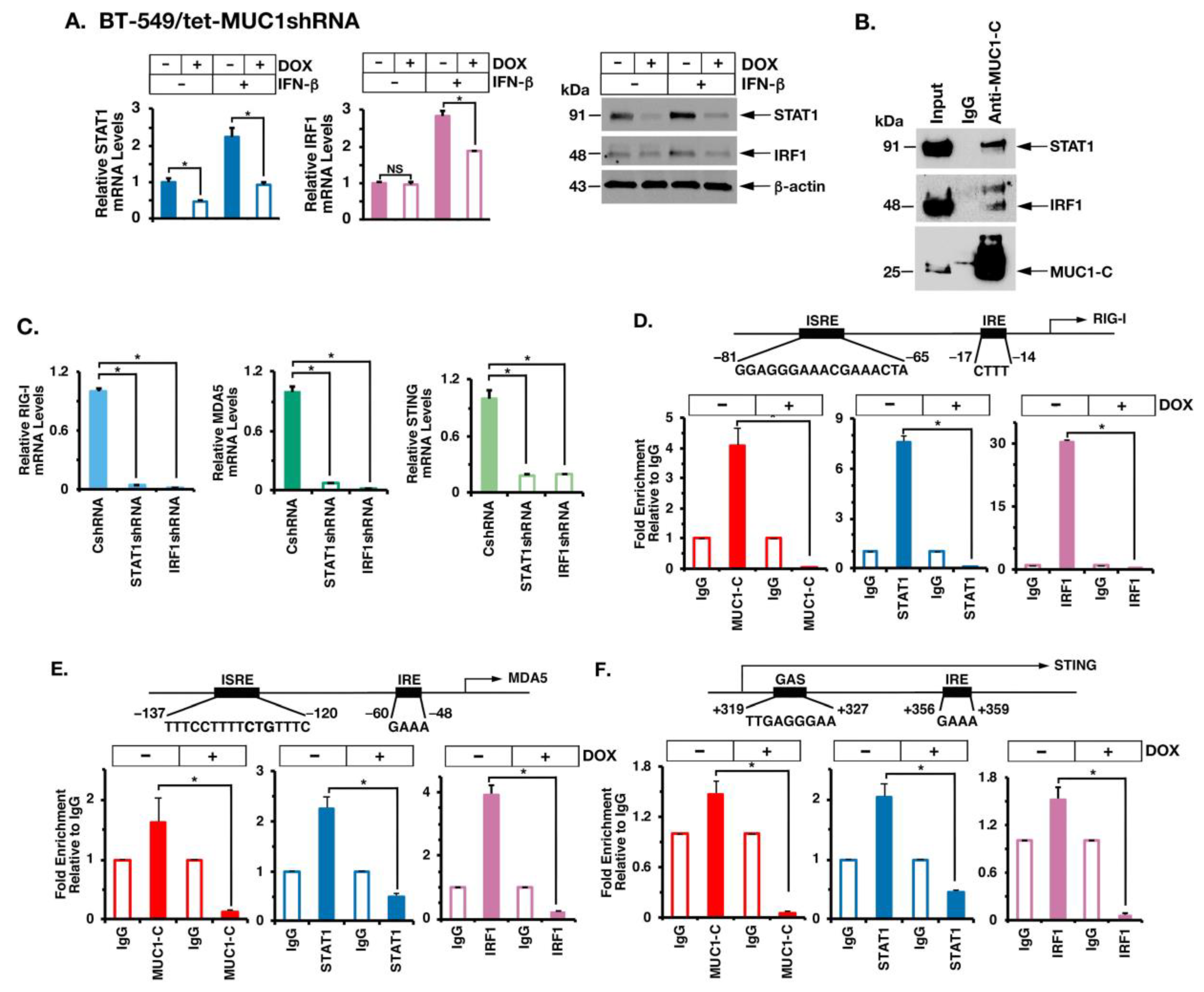 Cancers 14 02580 g005