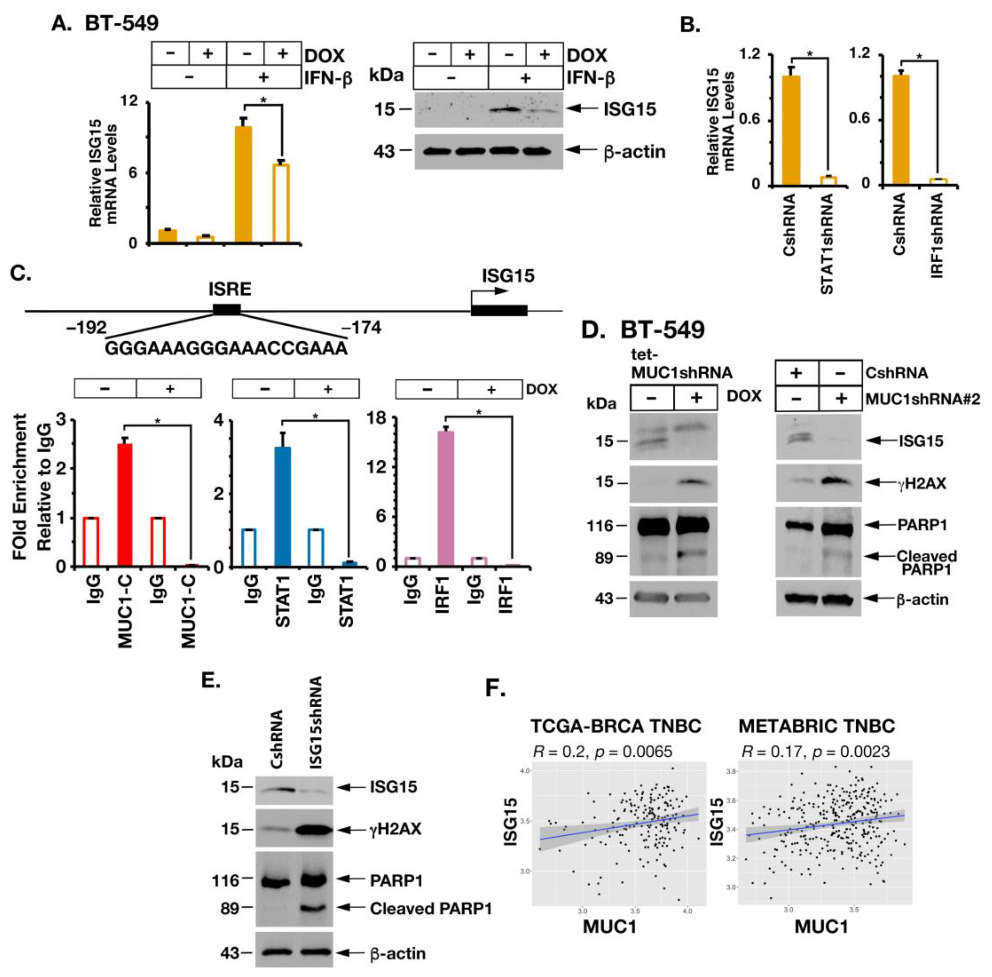 Cancers 14 02580 g006