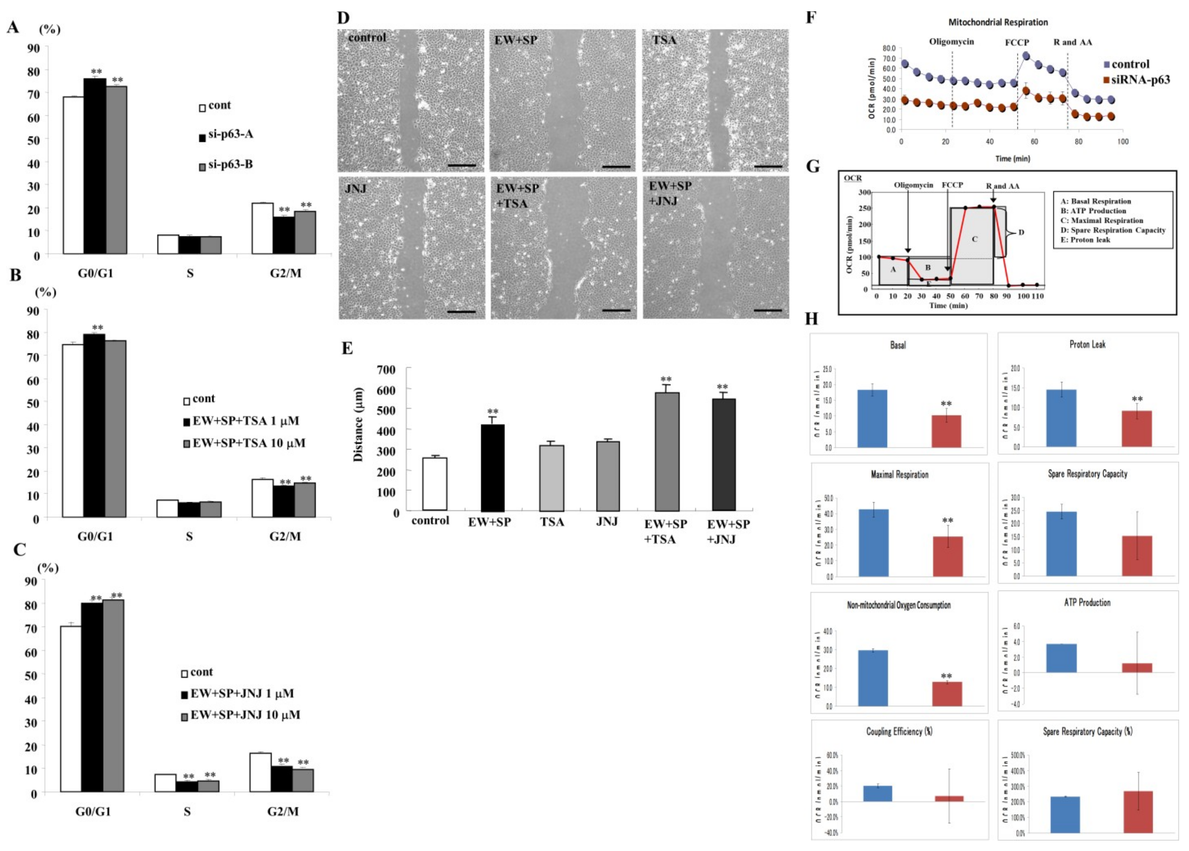 Cancers 14 02584 g005