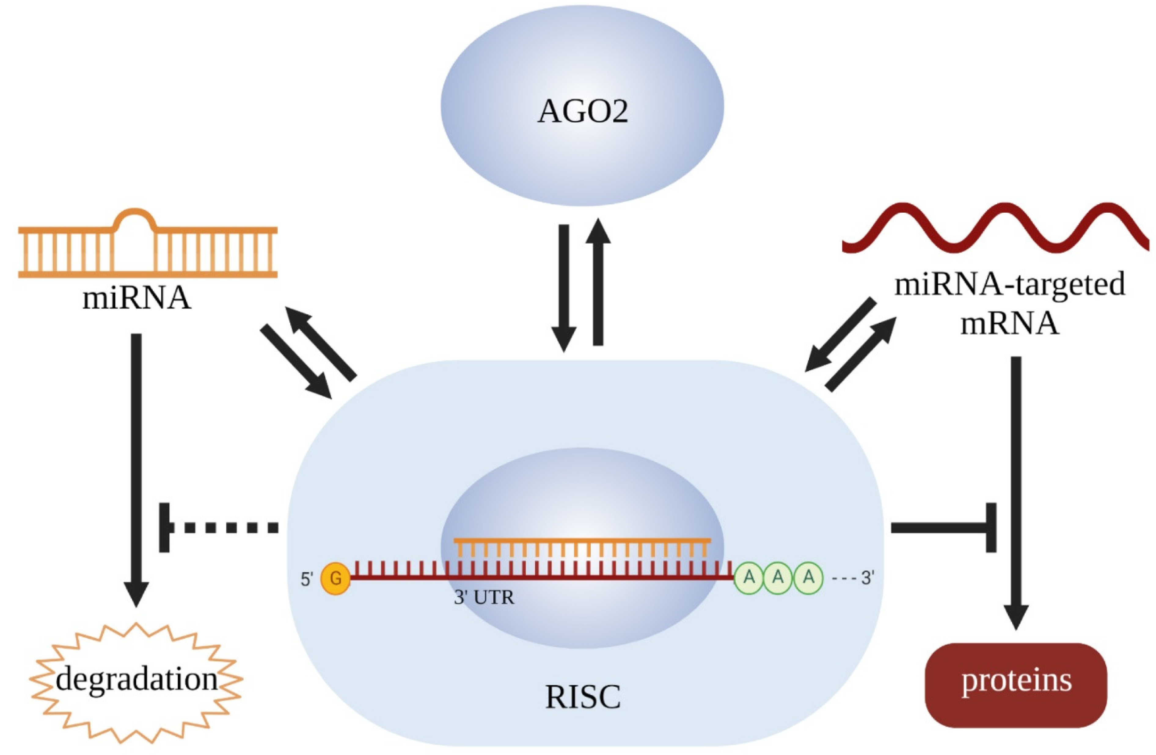 Cancers 14 02585 g007 550