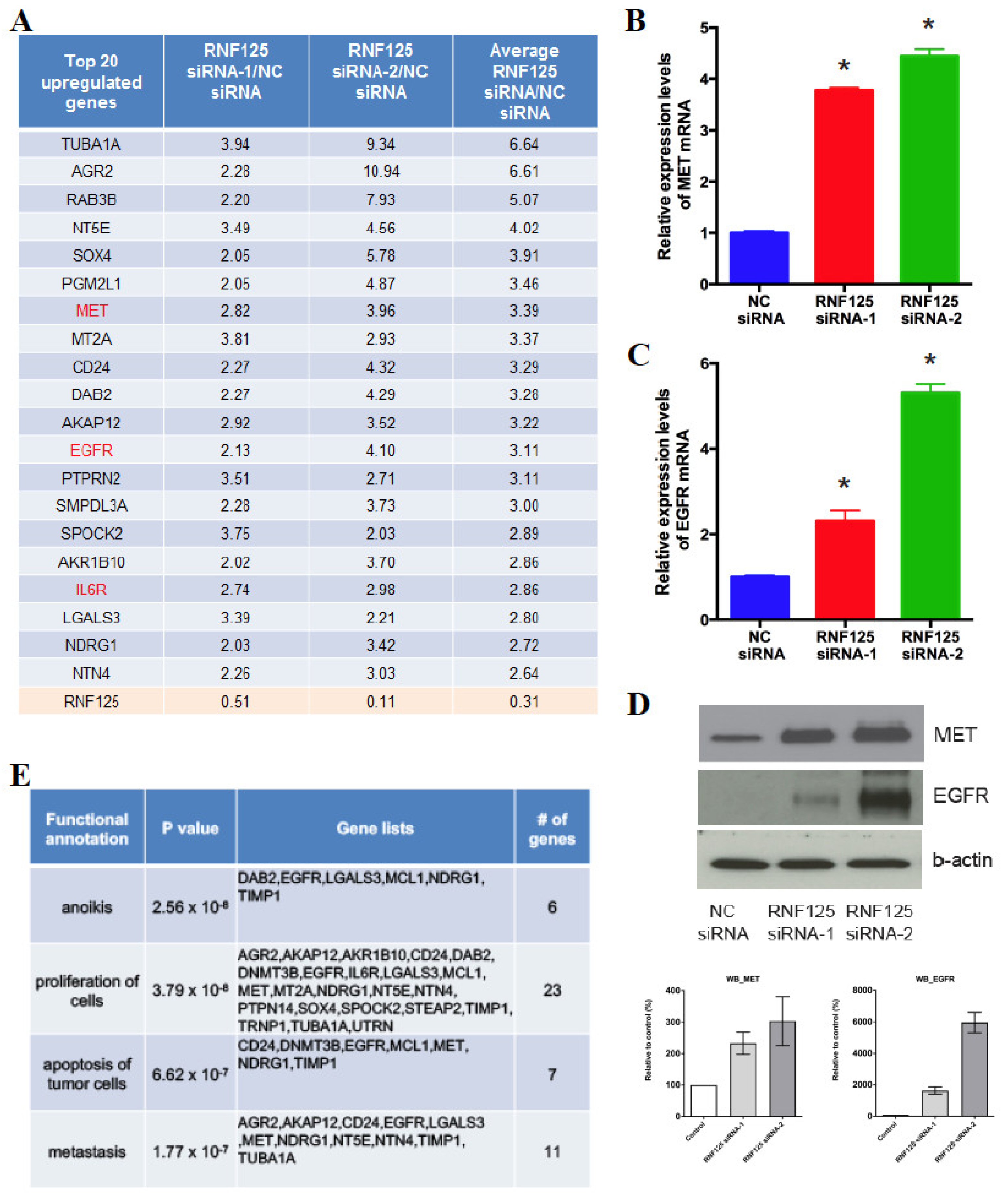 Cancers 14 02589 g004 Cancers 14 02589 g004
