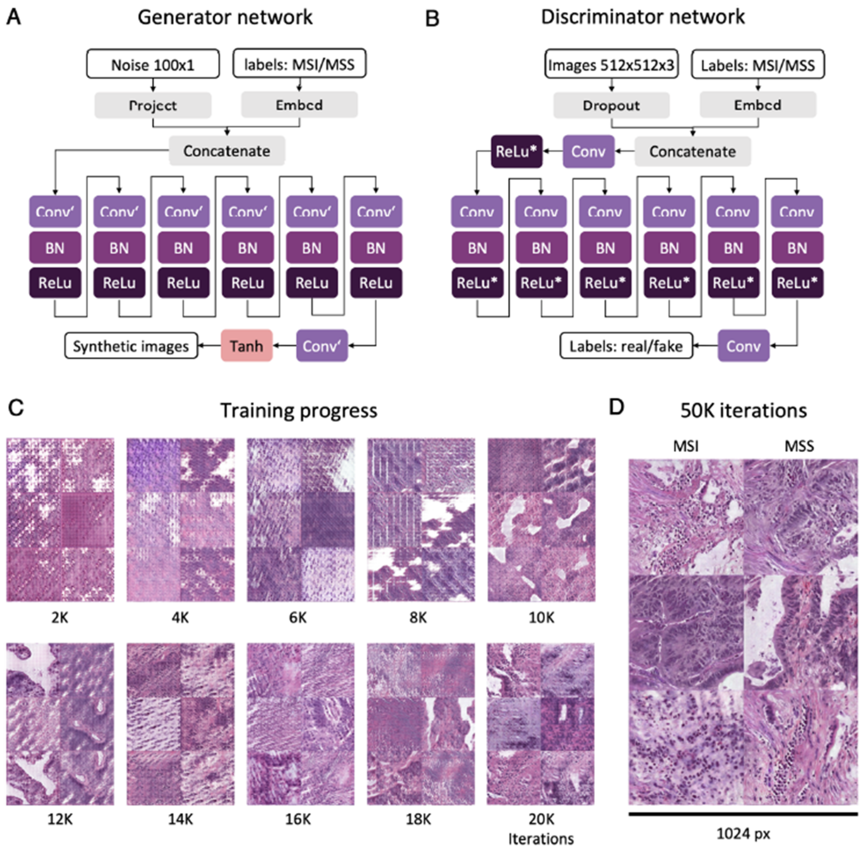 Cancers 14 02590 g007