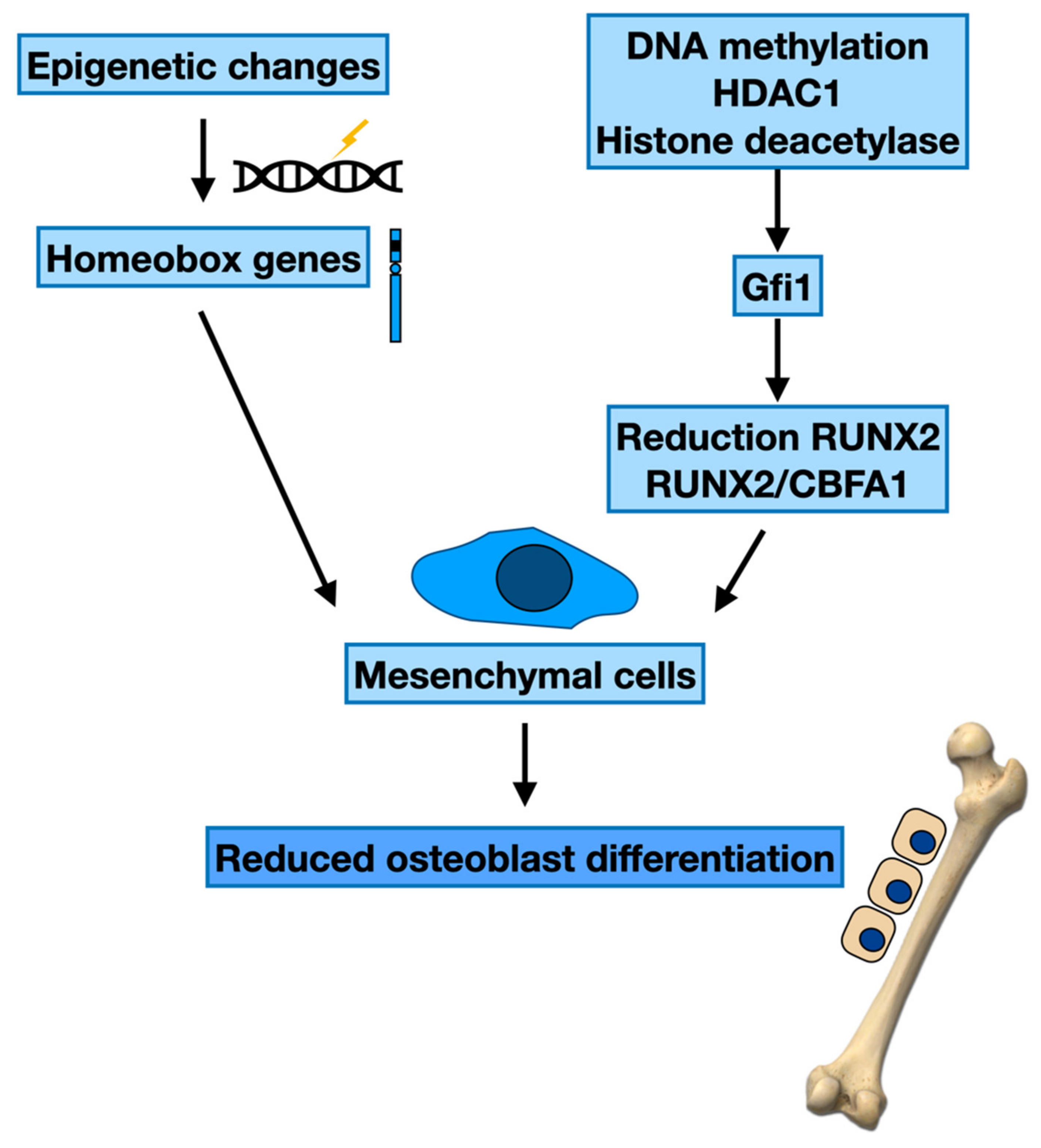 Cancers 14 02597 g001 Cancers 14 02597 g001