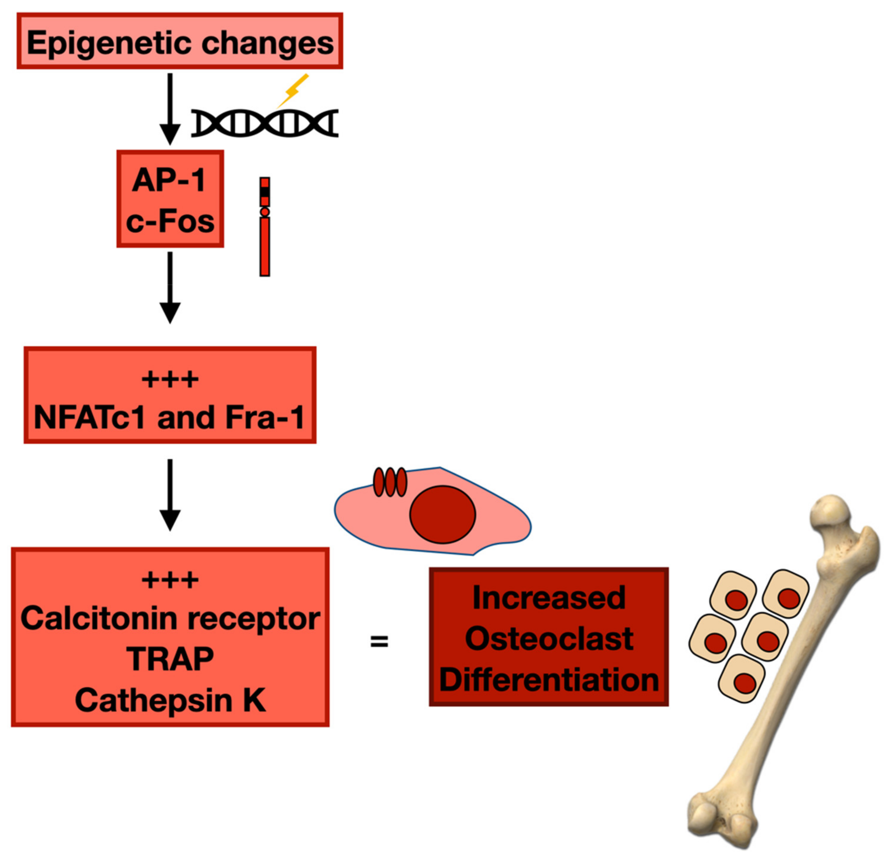 Cancers 14 02597 g002 Cancers 14 02597 g002