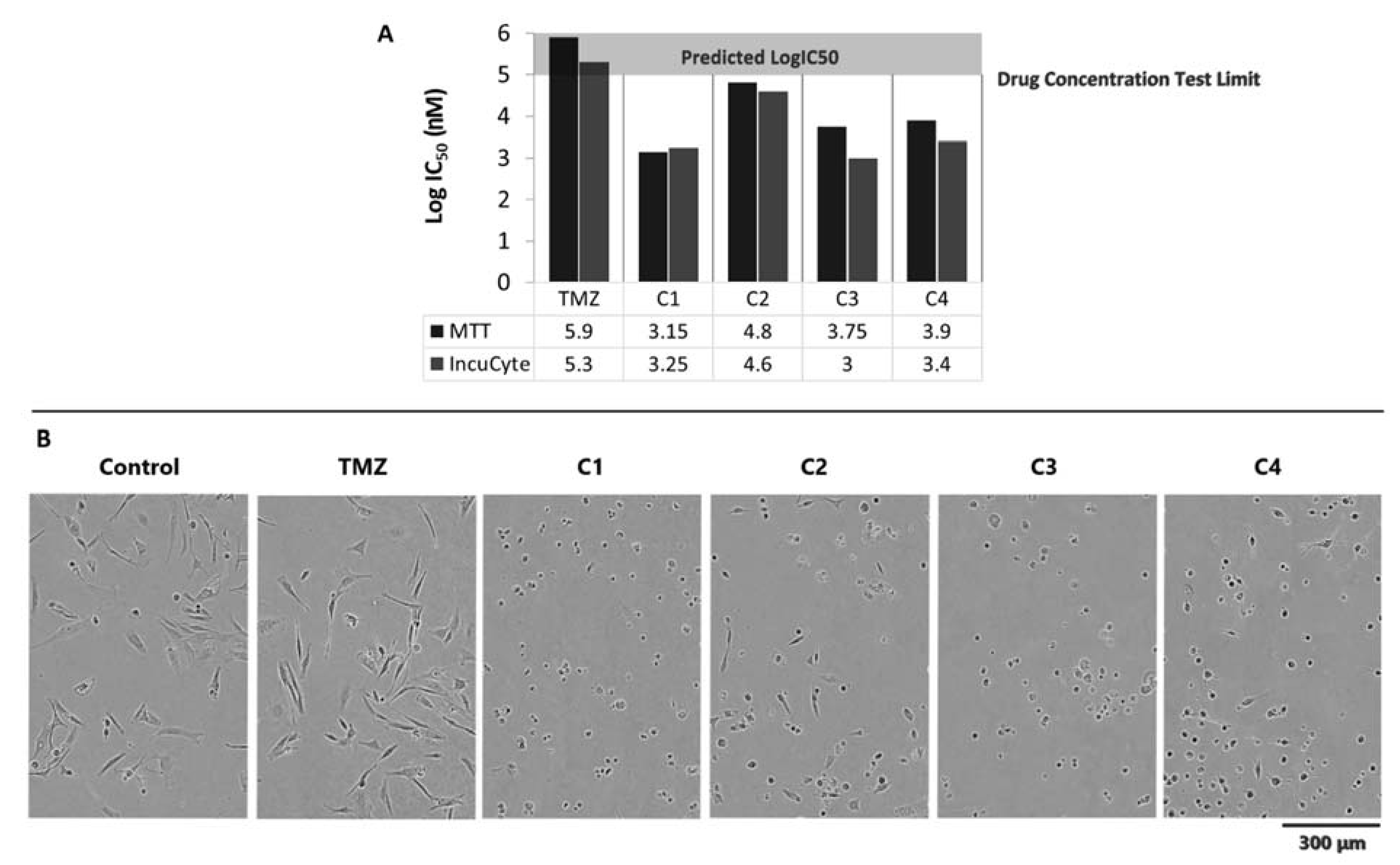 Cancers 14 02602 g004 Cancers 14 02602 g004