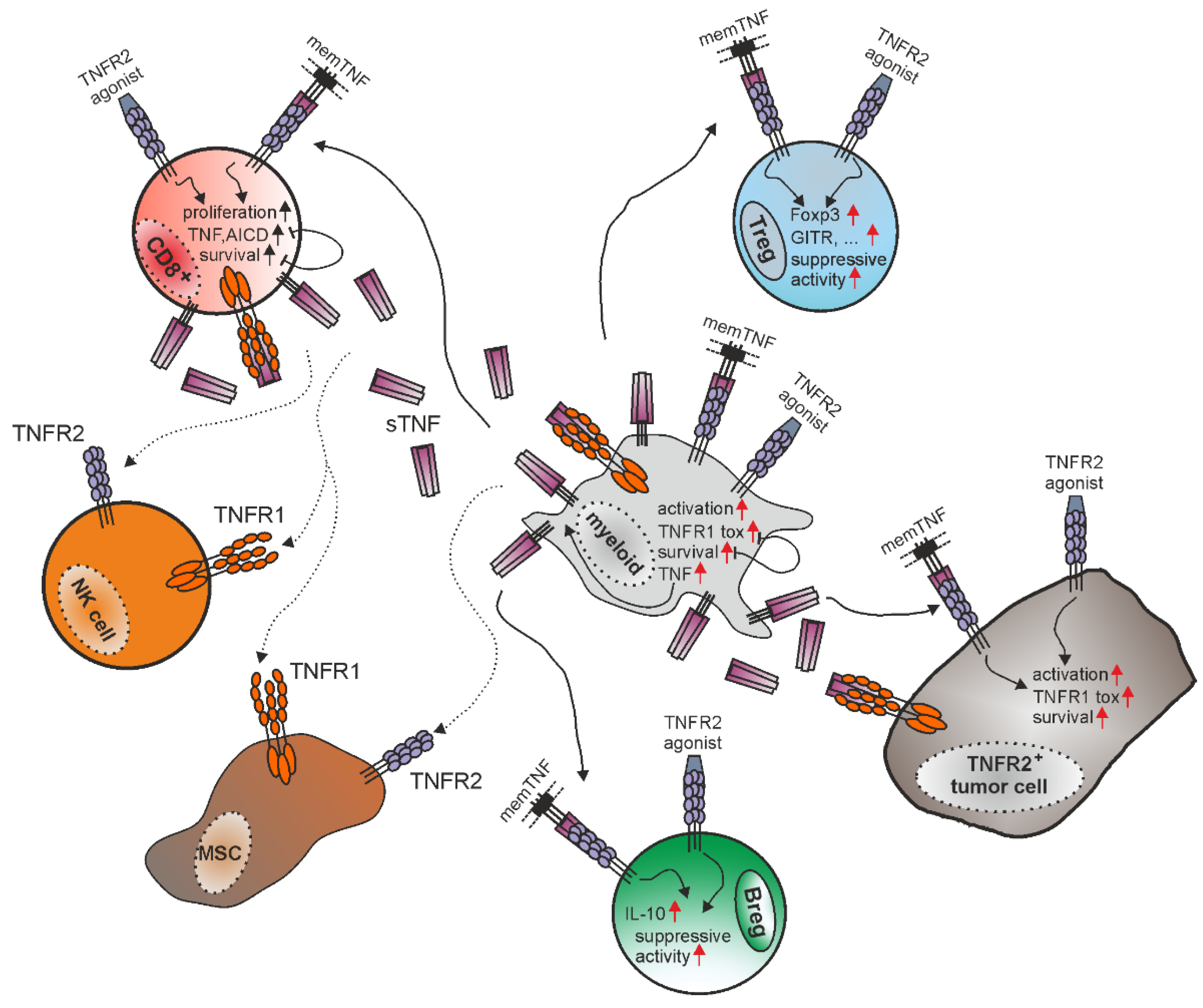 Cancers 14 02603 g003 Cancers 14 02603 g003