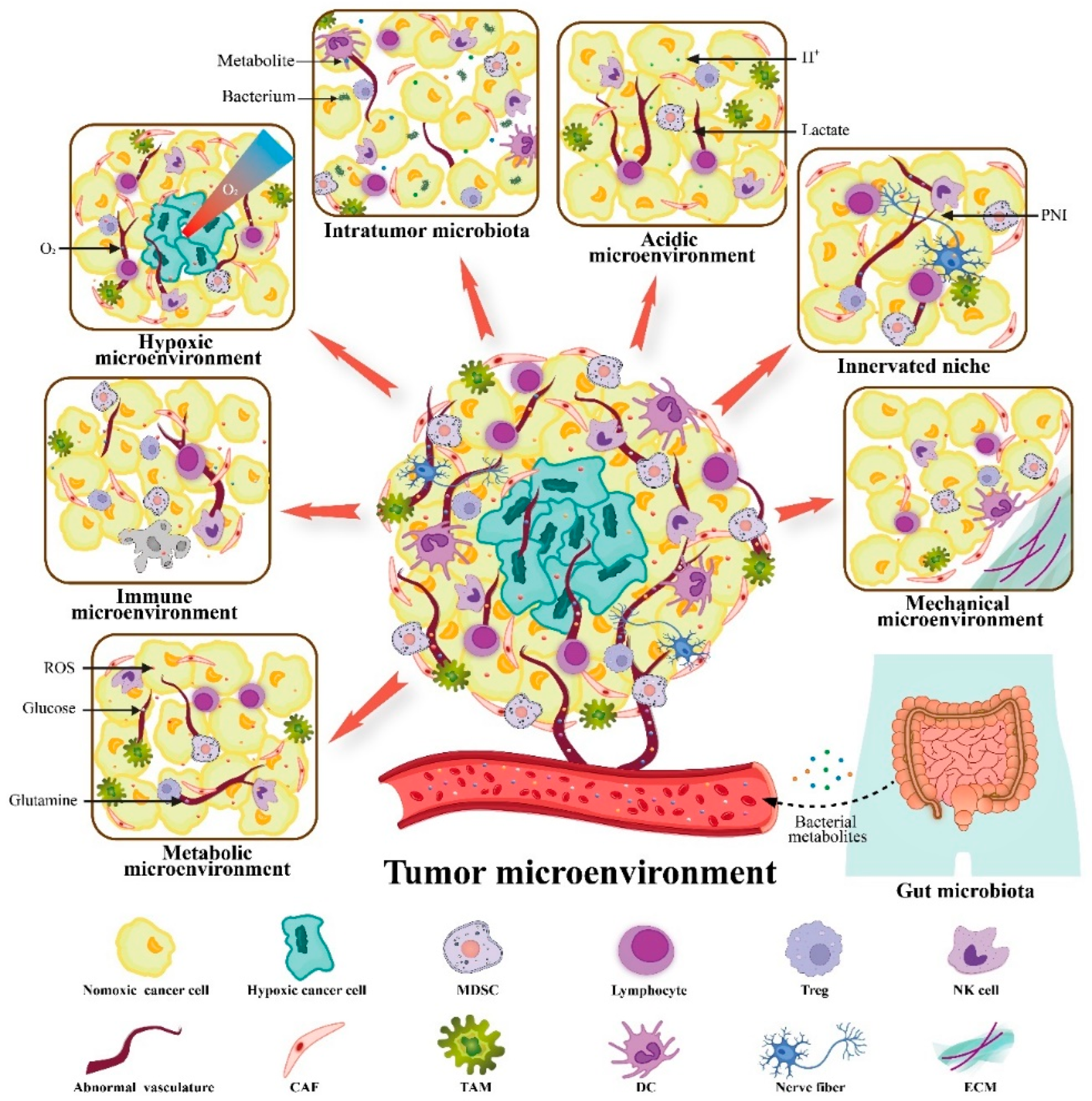 Cancers 14 02608 g001 Cancers 14 02608 g001