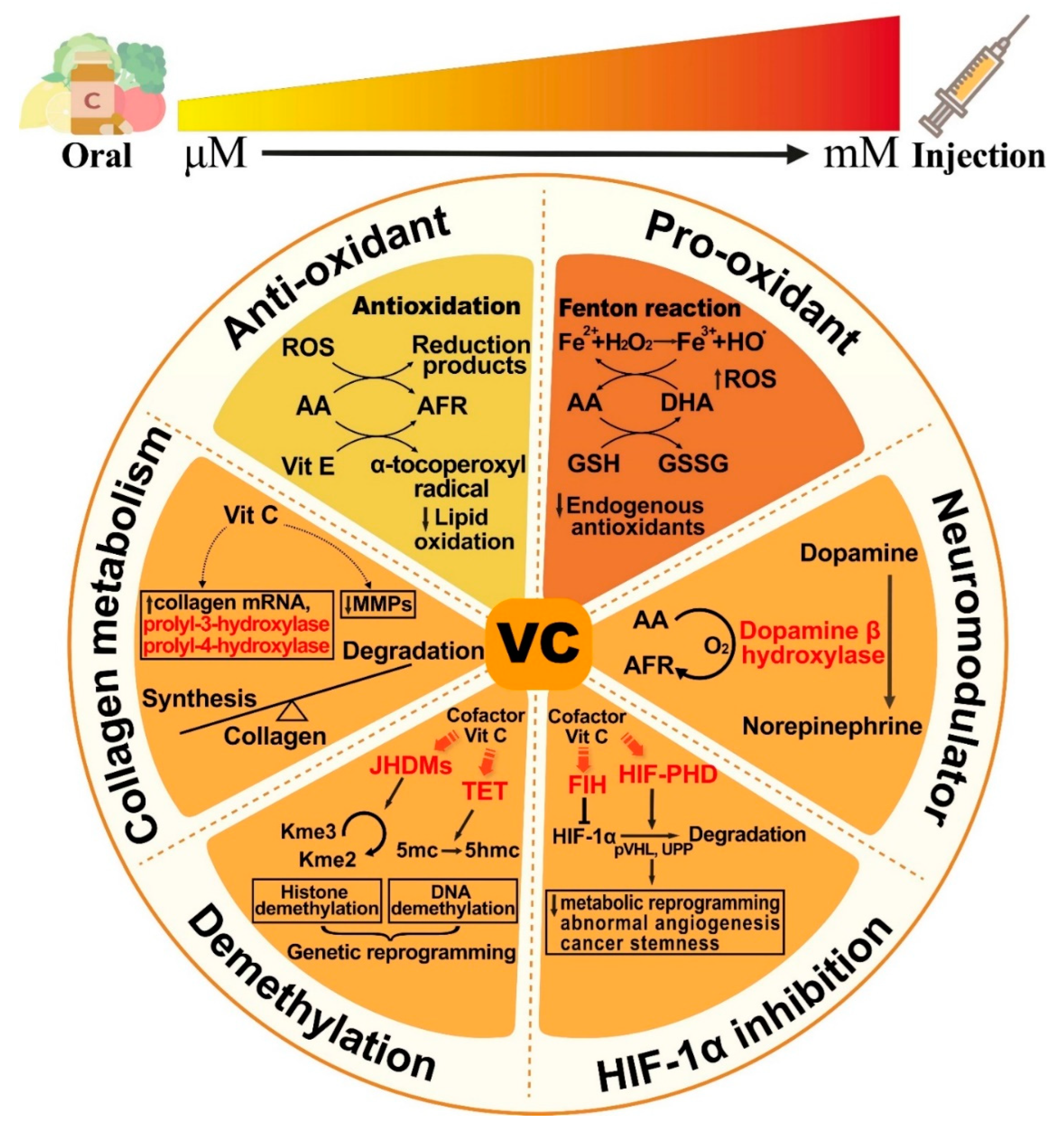 Cancers 14 02608 g002 Cancers 14 02608 g002