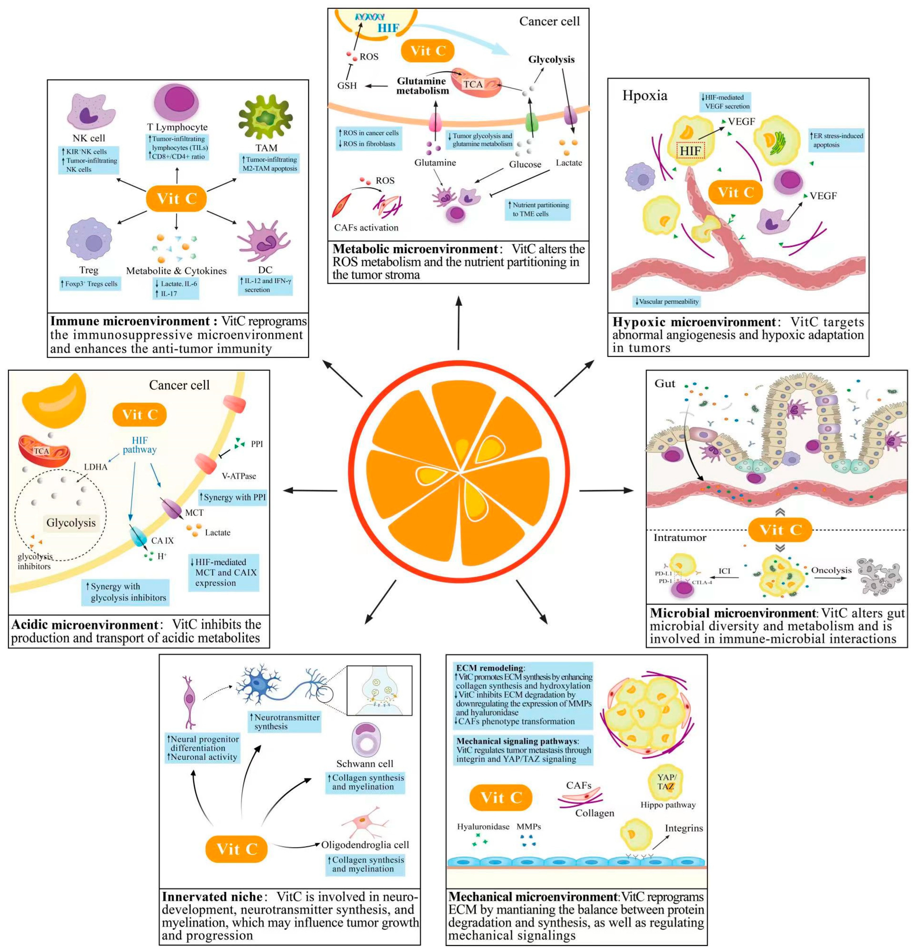 Cancers 14 02608 g003 Cancers 14 02608 g003