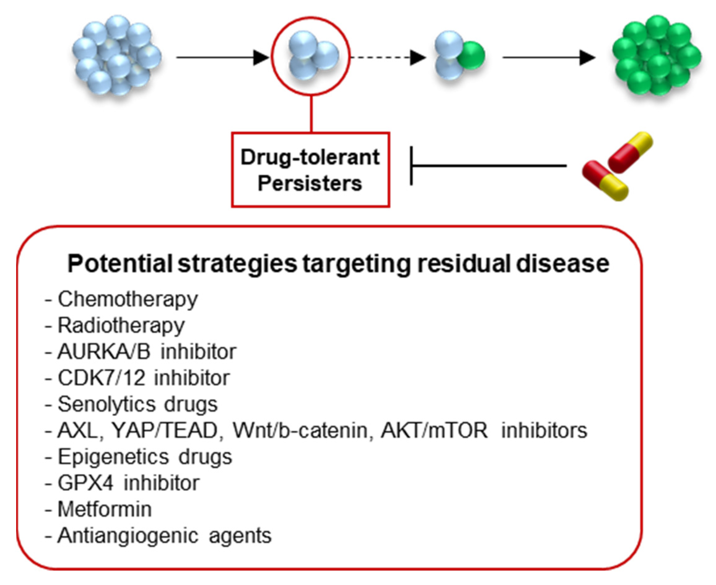 Cancers 14 02613 g005