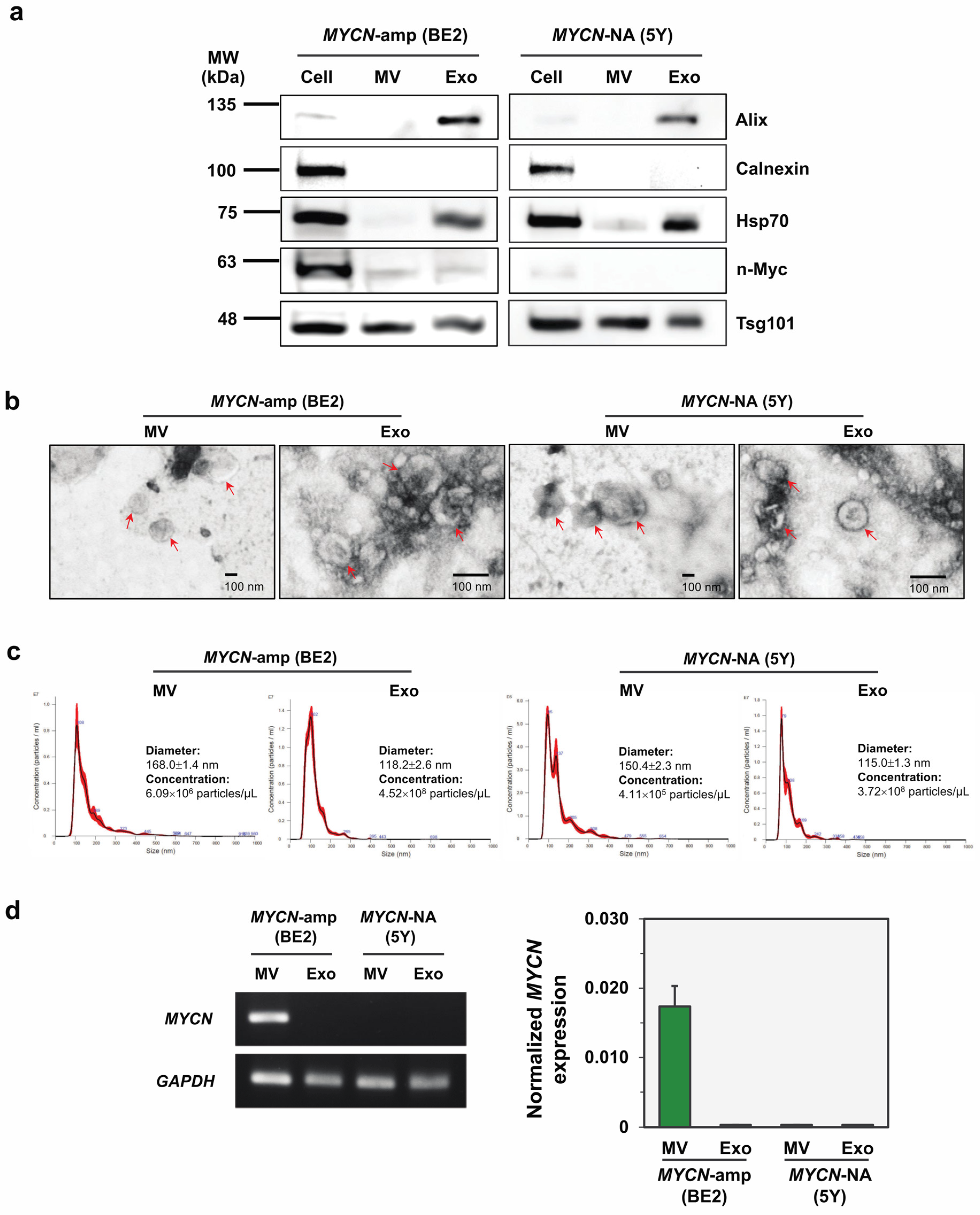 Cancers 14 02627 g001