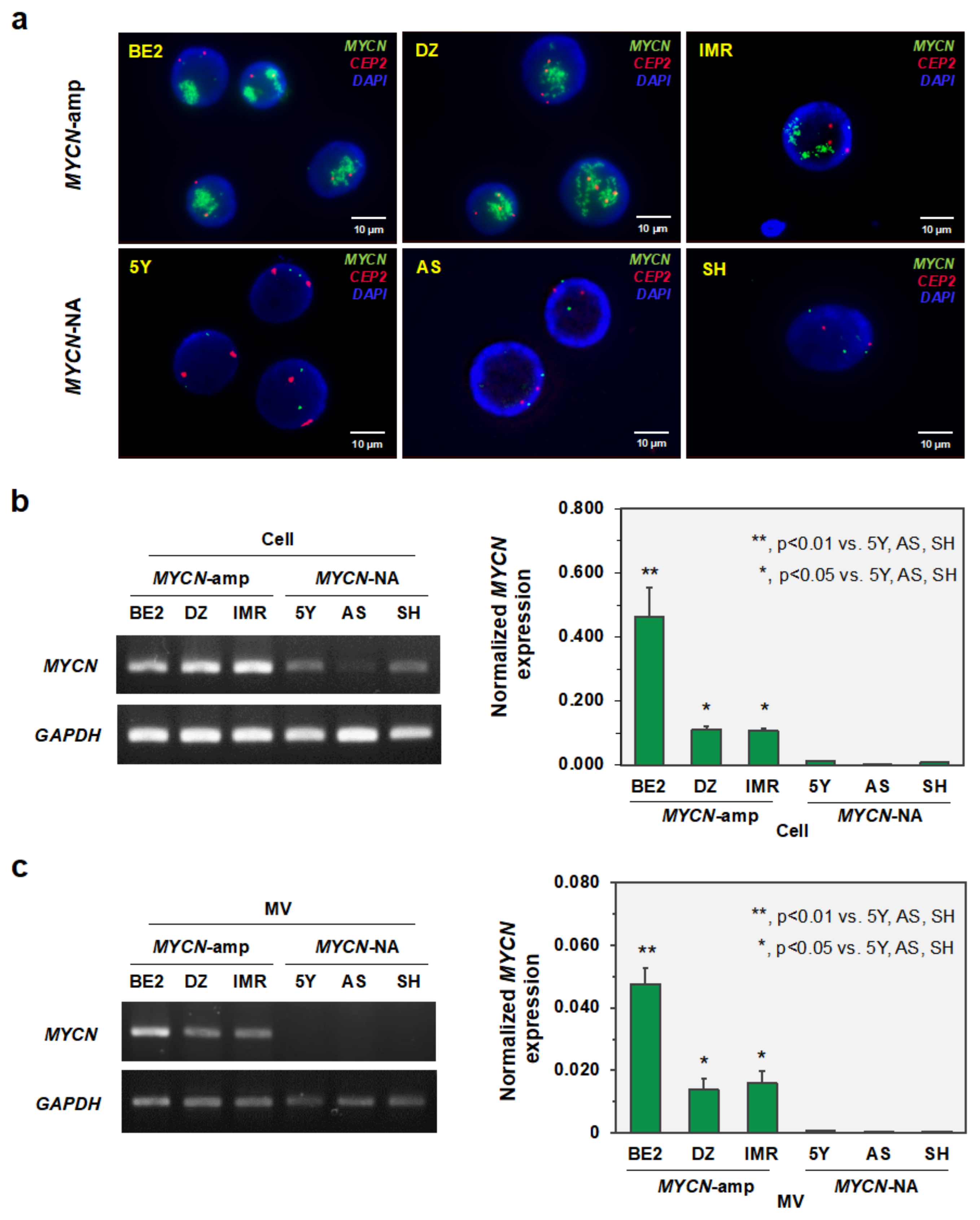 Cancers 14 02627 g002