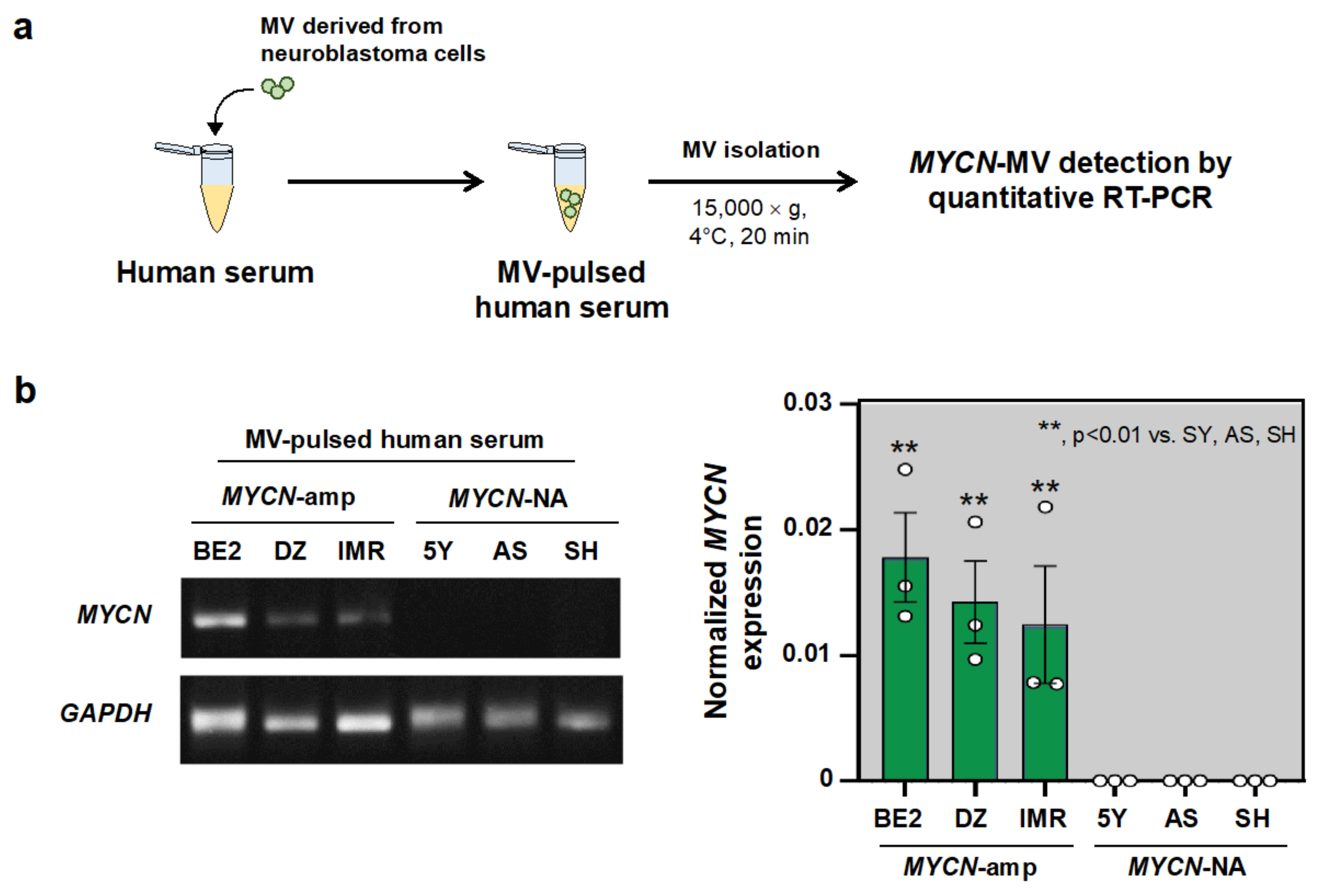 Cancers 14 02627 g003
