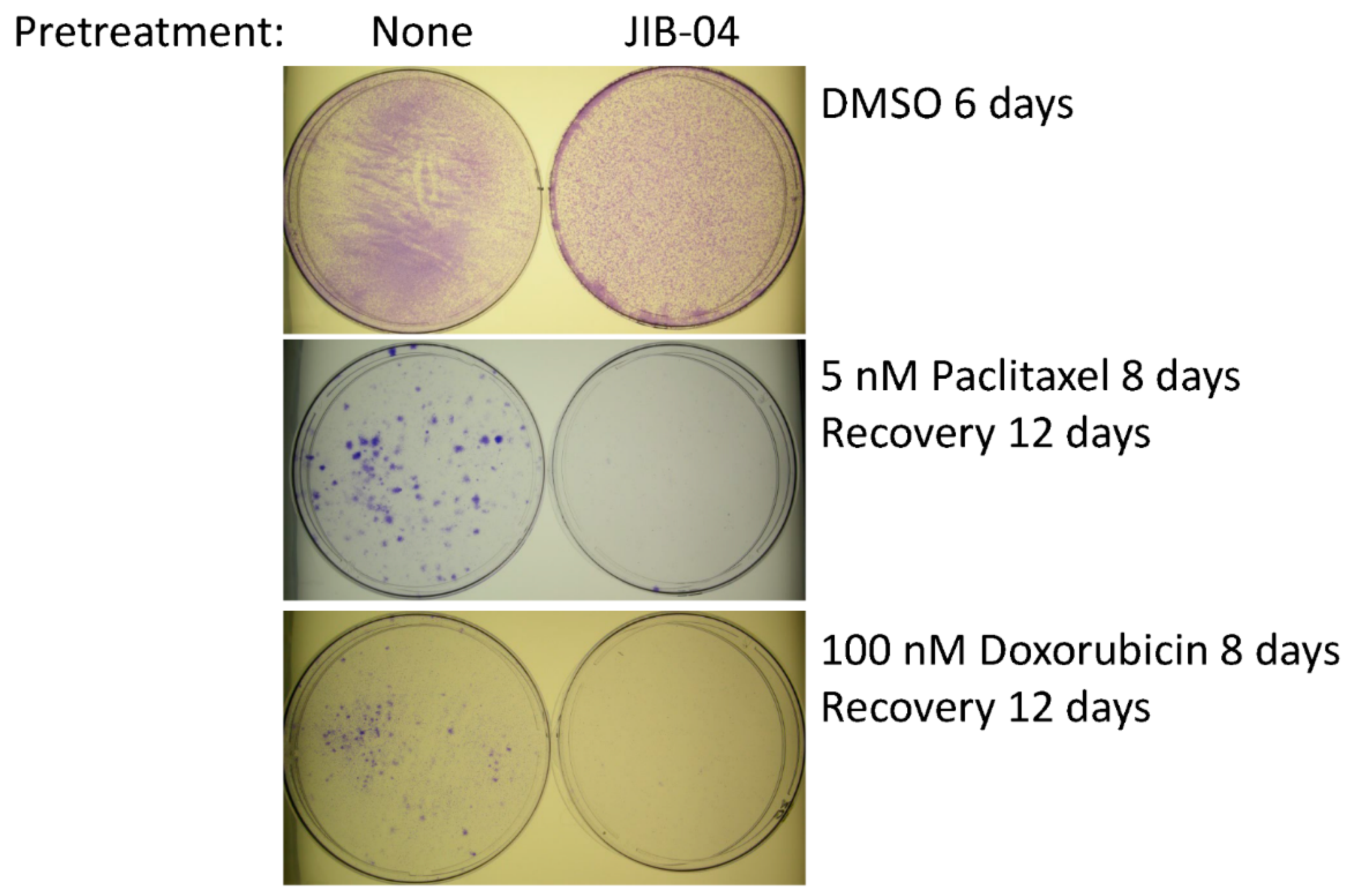 Cancers 14 02631 g002 Cancers 14 02631 g002