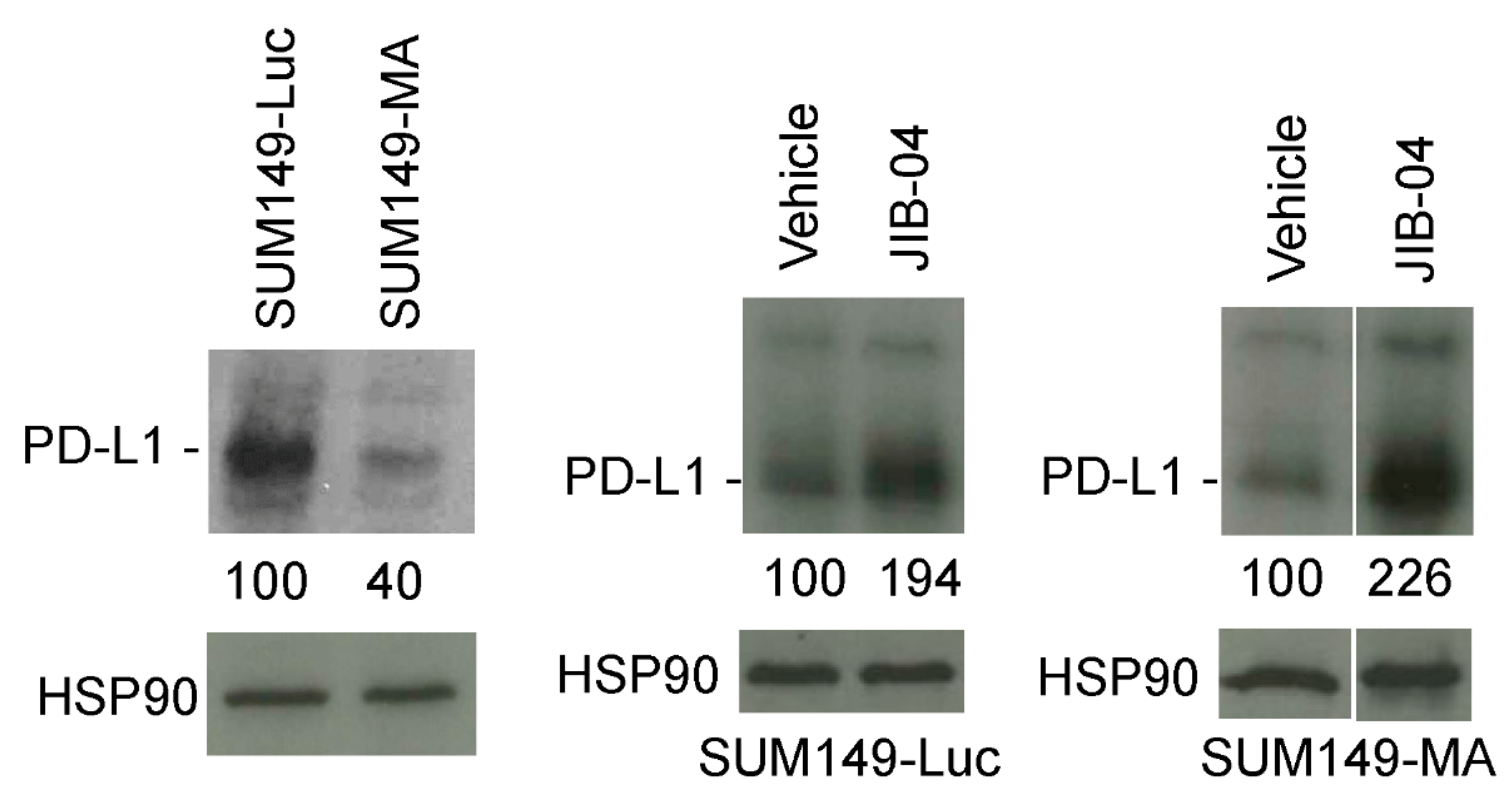 Cancers 14 02631 g004 Cancers 14 02631 g004