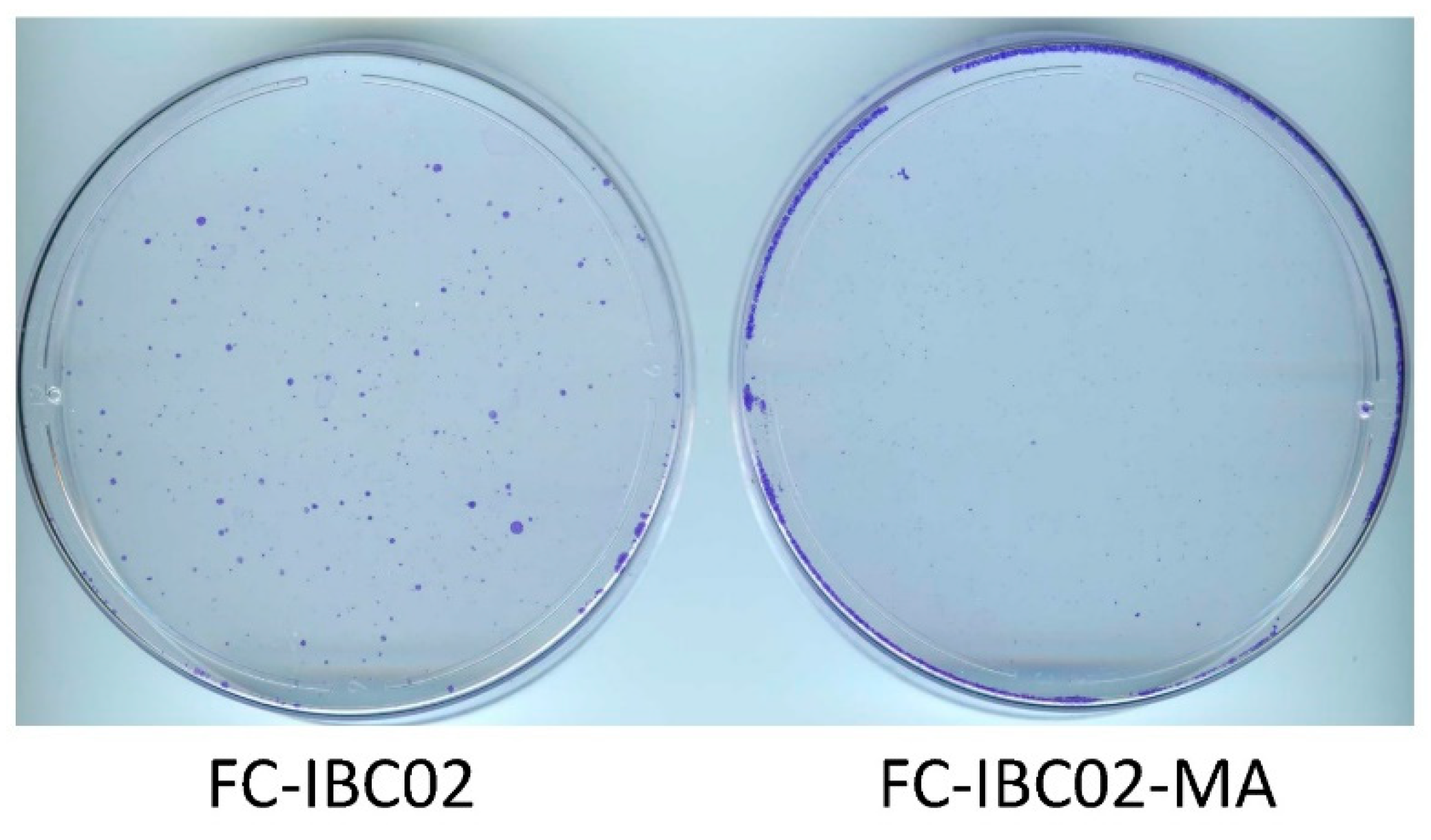 Cancers 14 02631 g005 Cancers 14 02631 g005