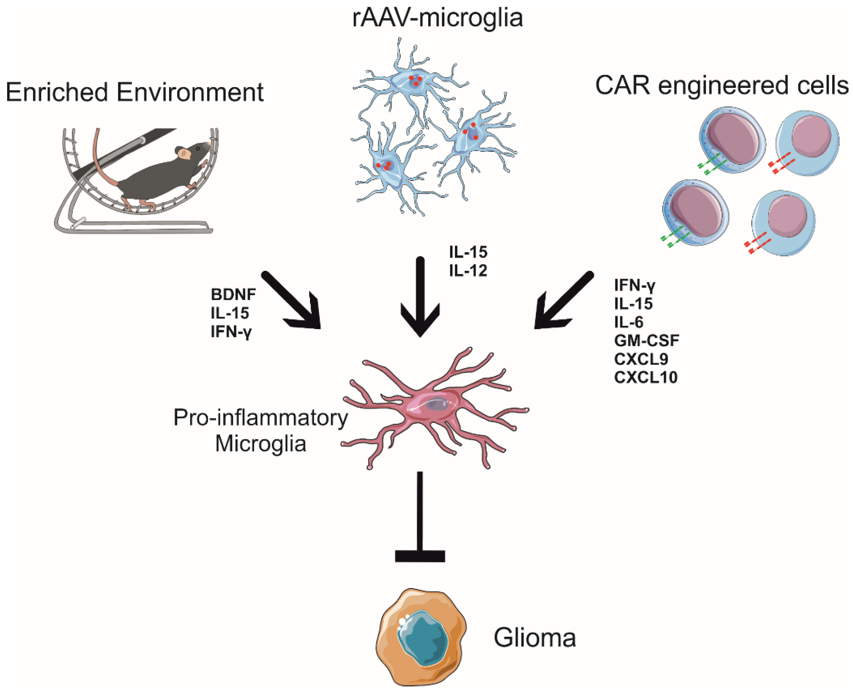 Cancers 14 02632 g002
