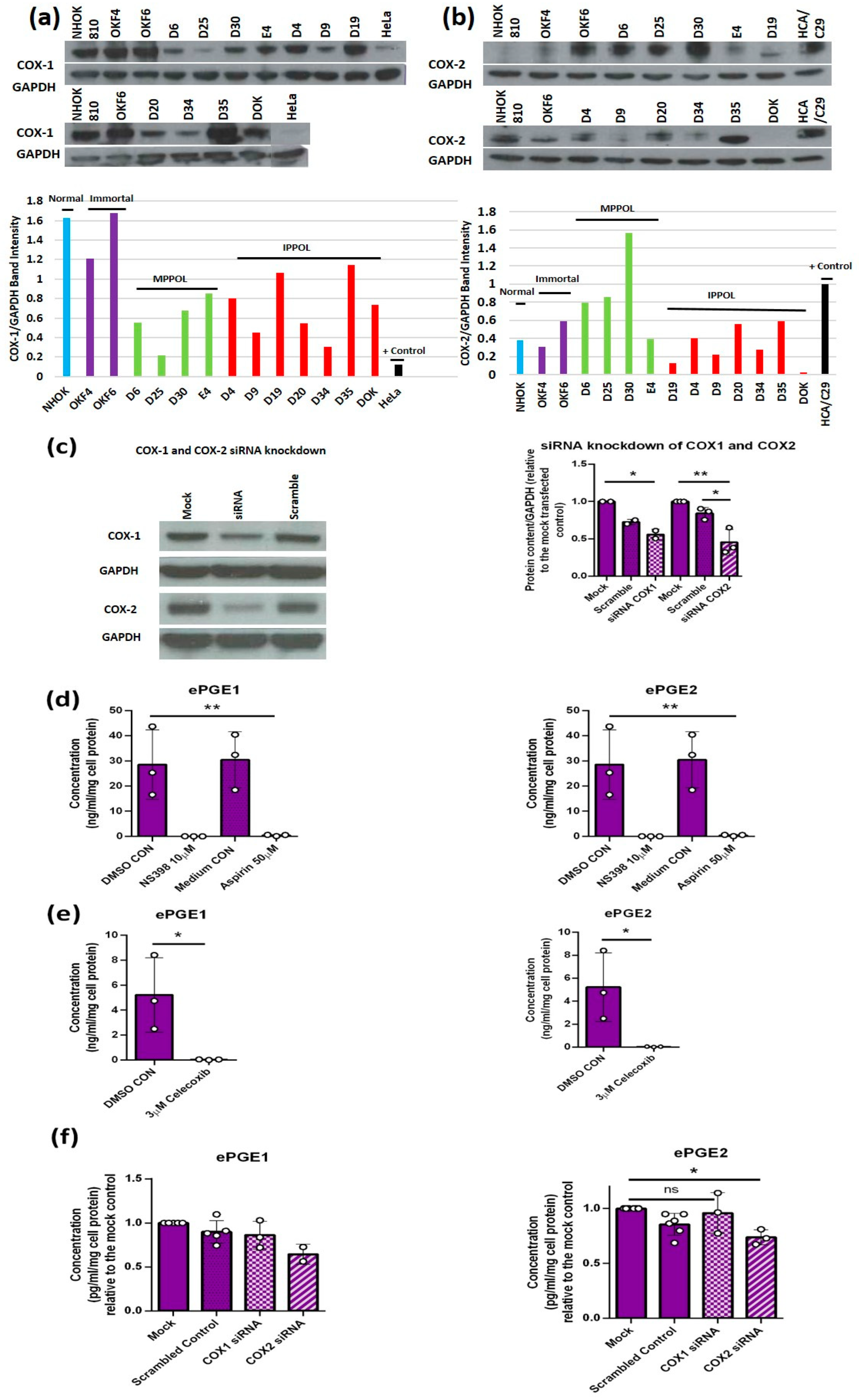 Cancers 14 02636 g003 Cancers 14 02636 g003