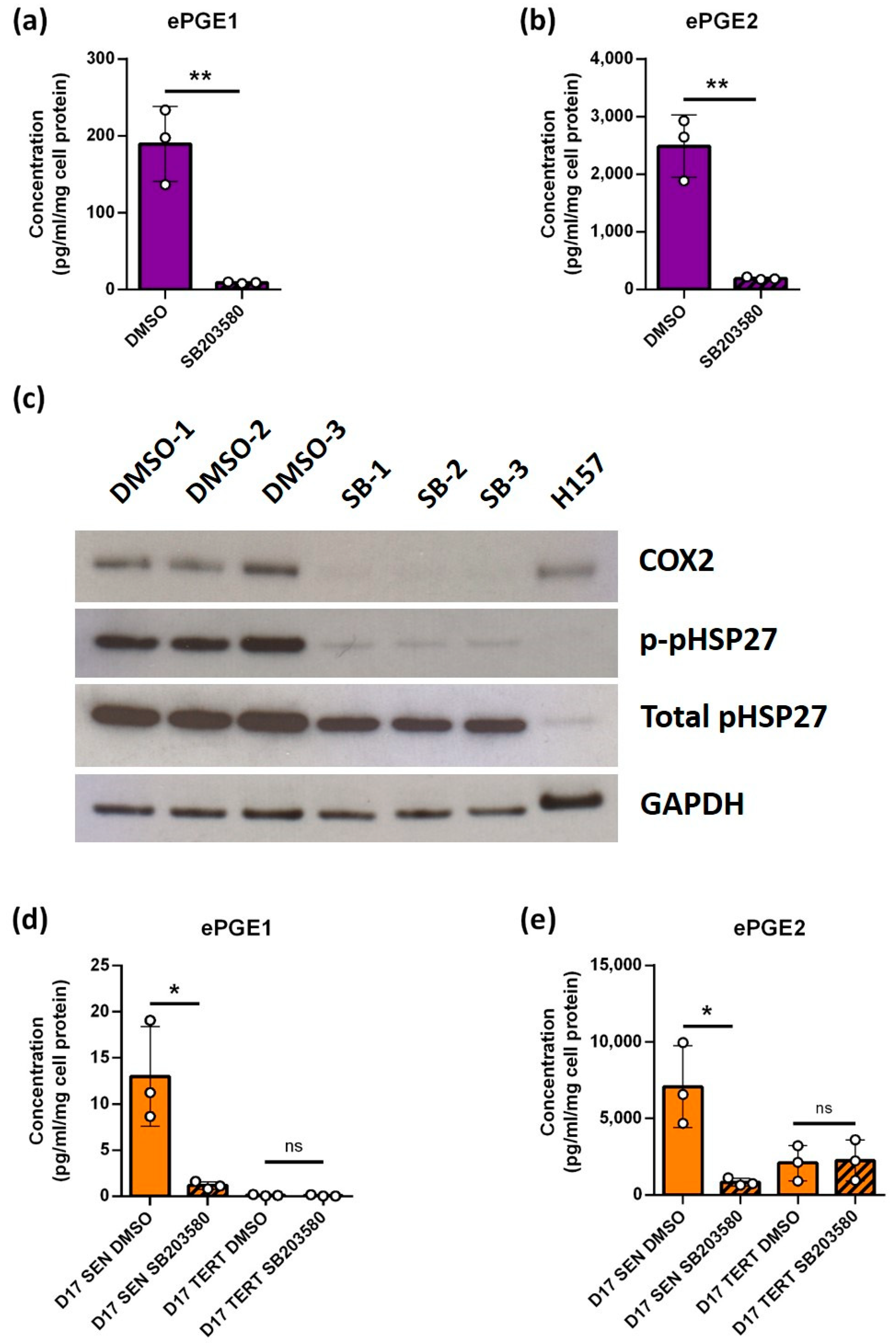 Cancers 14 02636 g004 Cancers 14 02636 g004