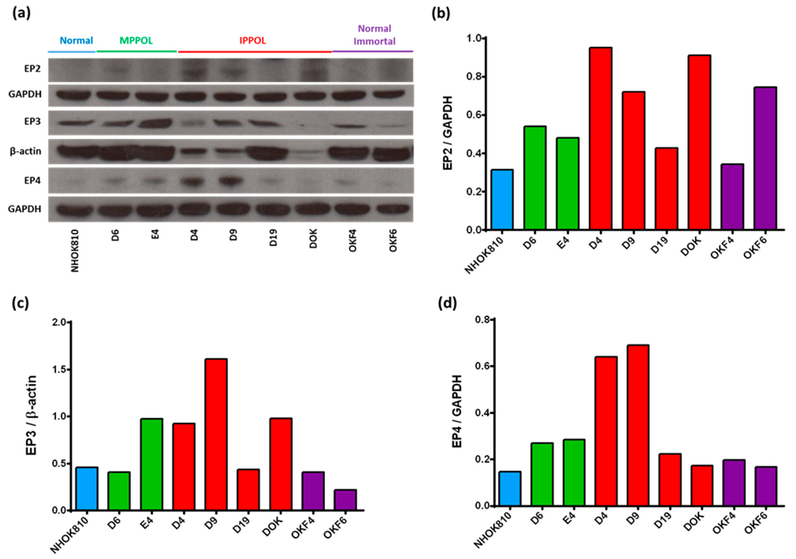 Cancers 14 02636 g008 Cancers 14 02636 g008