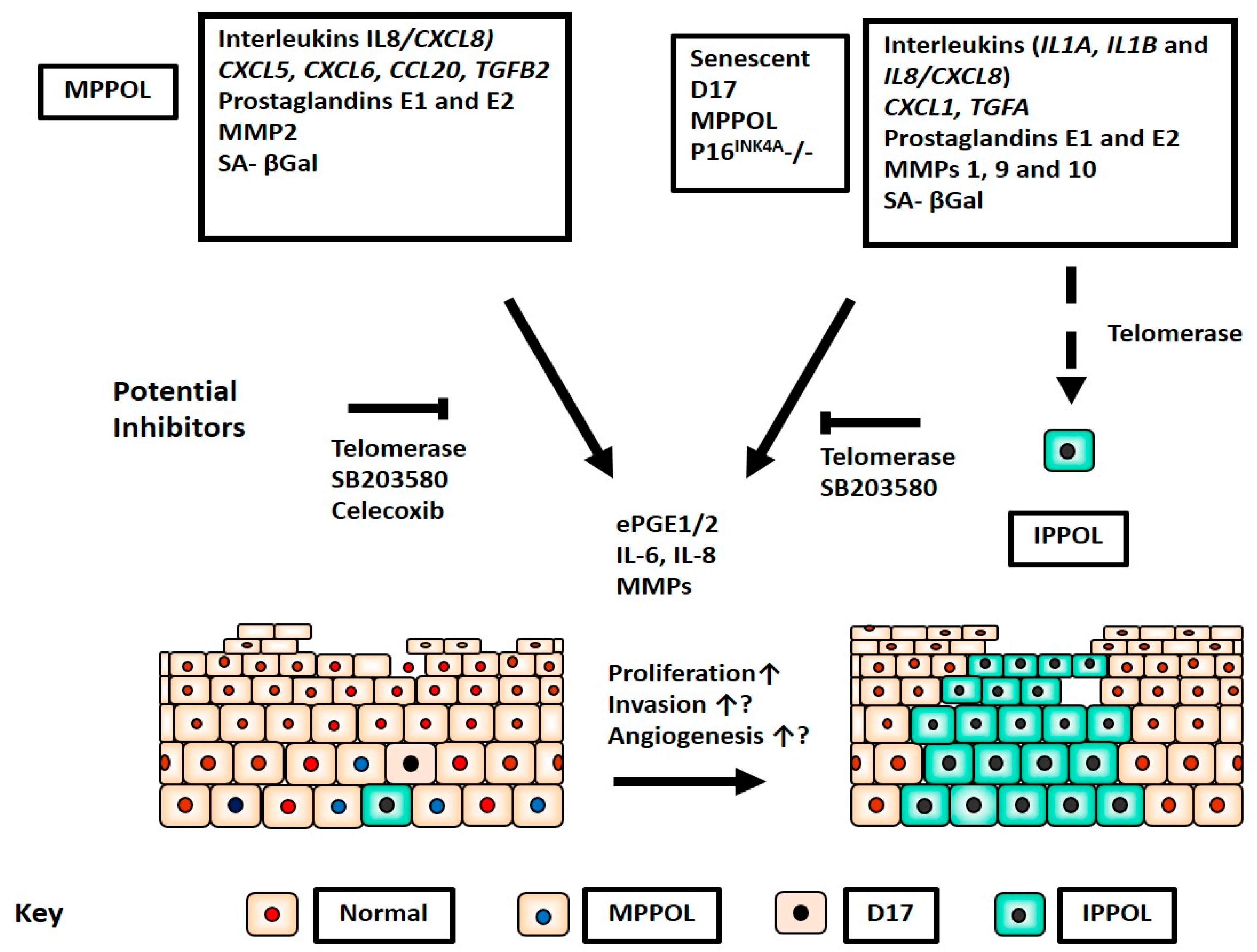 Cancers 14 02636 g011 Cancers 14 02636 g011