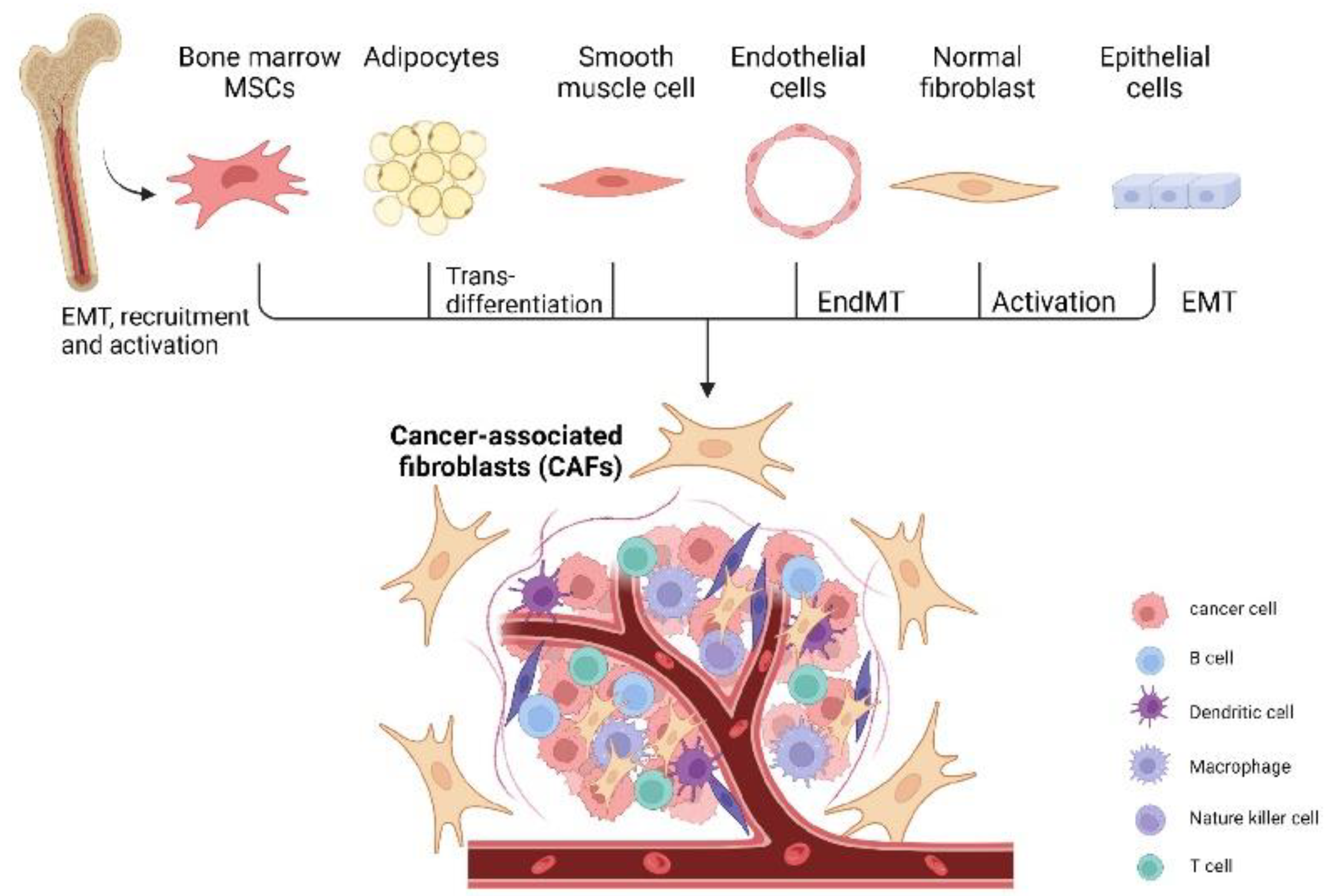 Cancers 14 02637 g001 Cancers 14 02637 g001