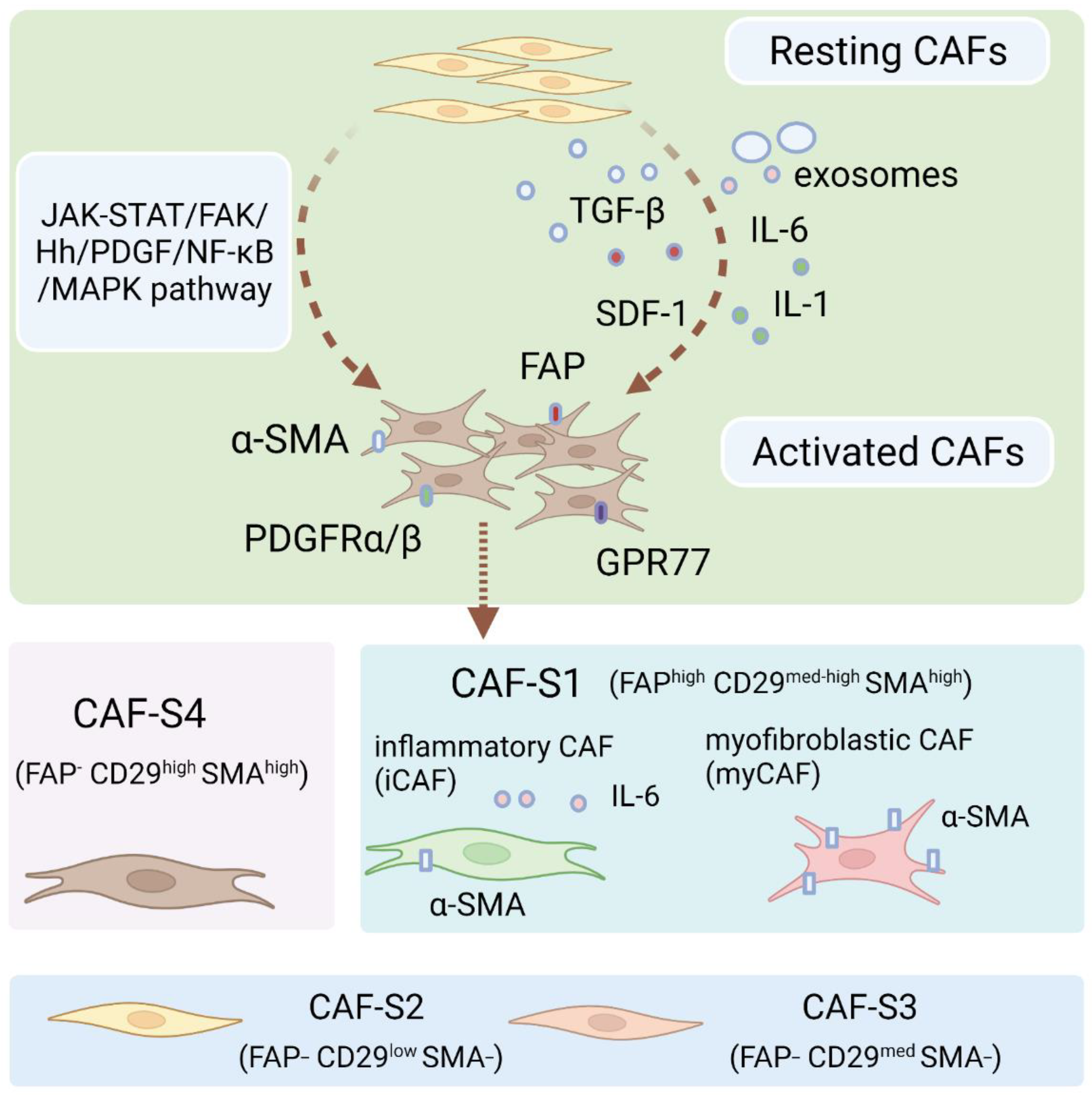 Cancers 14 02637 g002 Cancers 14 02637 g002
