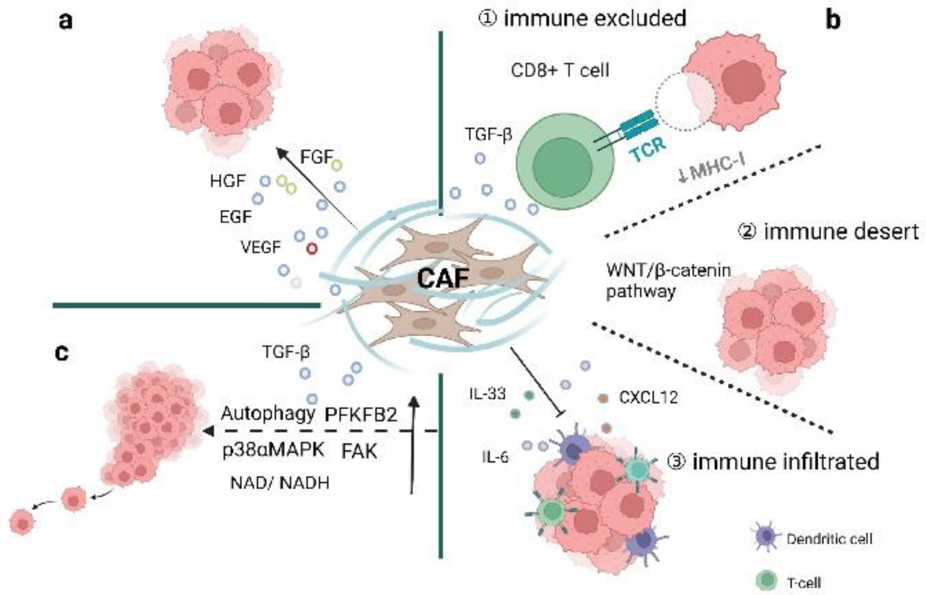 Cancers 14 02637 g003 Cancers 14 02637 g003