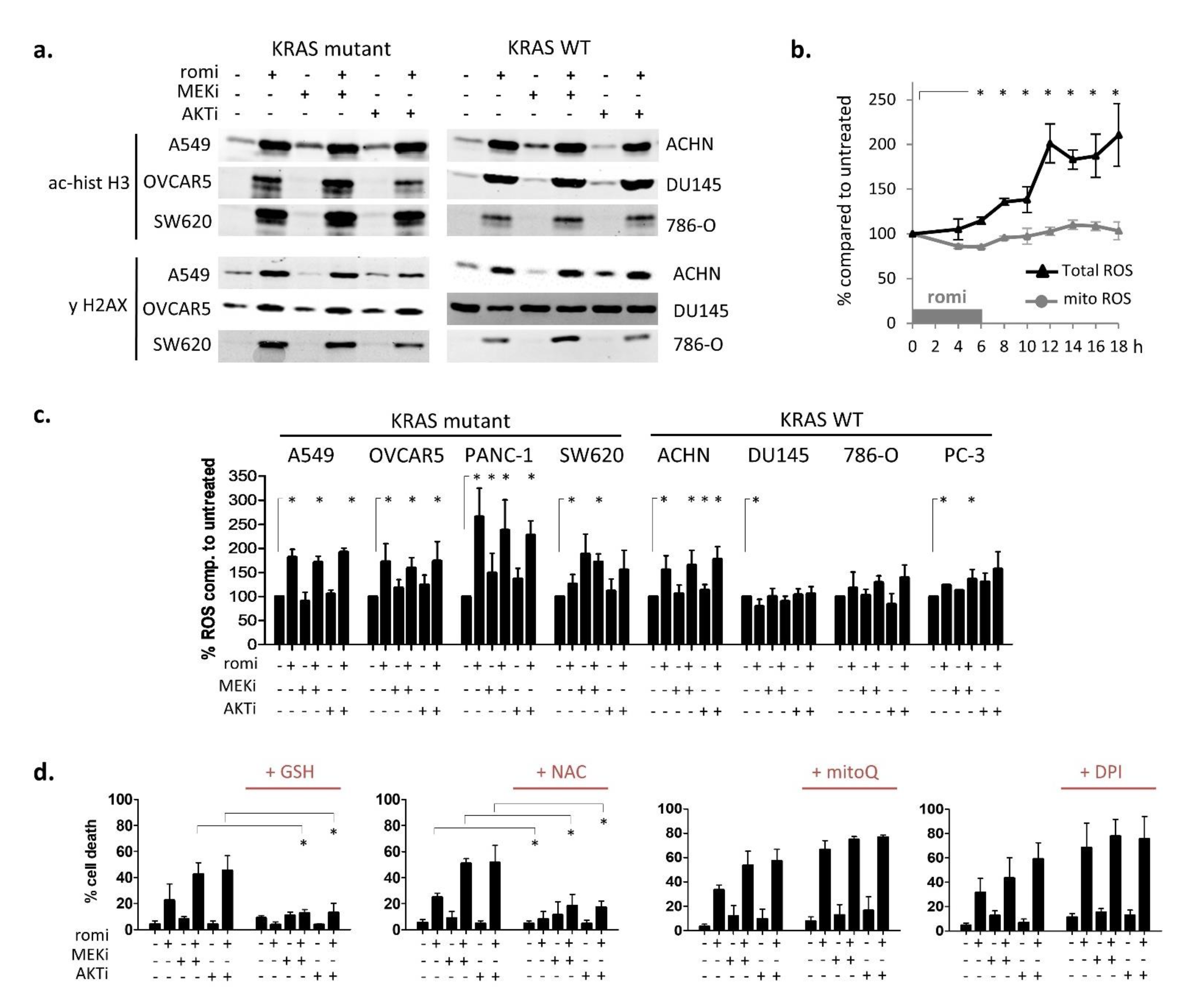 Cancers 14 02643 g002 Cancers 14 02643 g002