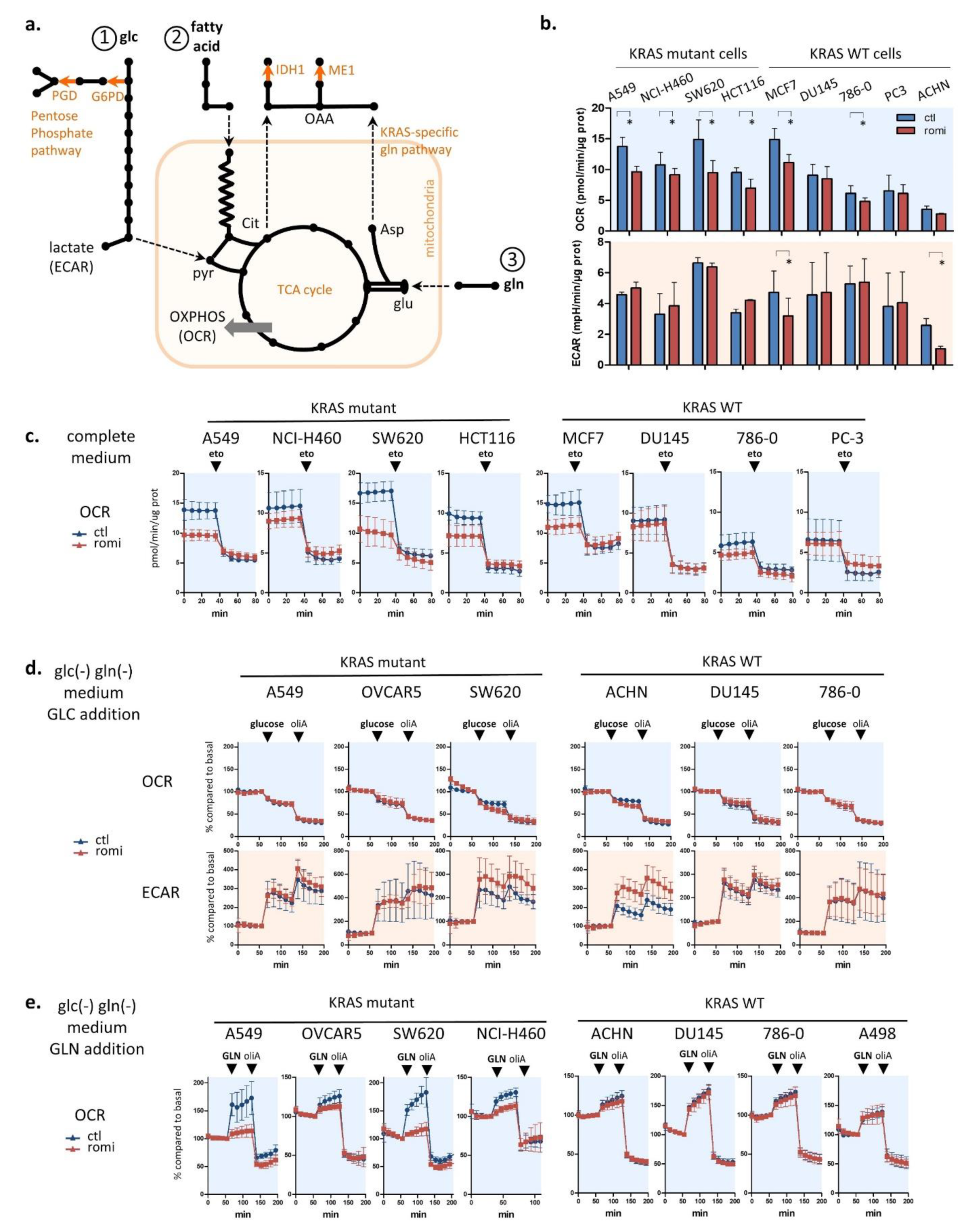 Cancers 14 02643 g003 Cancers 14 02643 g003